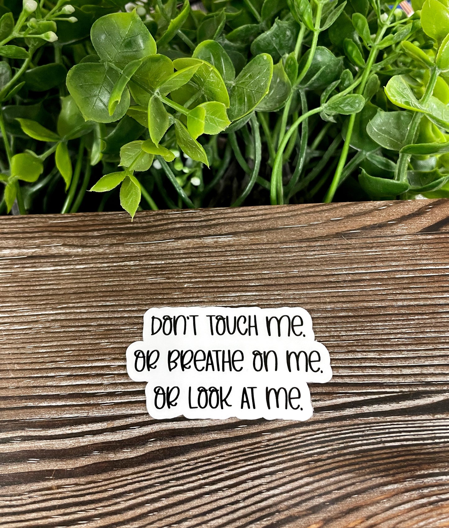 Don't Touch Me or Breathe on Me or Look at Me, Die Cut Vinyl Sticker, Boho Fun, Water Resistant, Snarky Sarcasm Witty Quote, Funny Saying |Sticker or Magnet