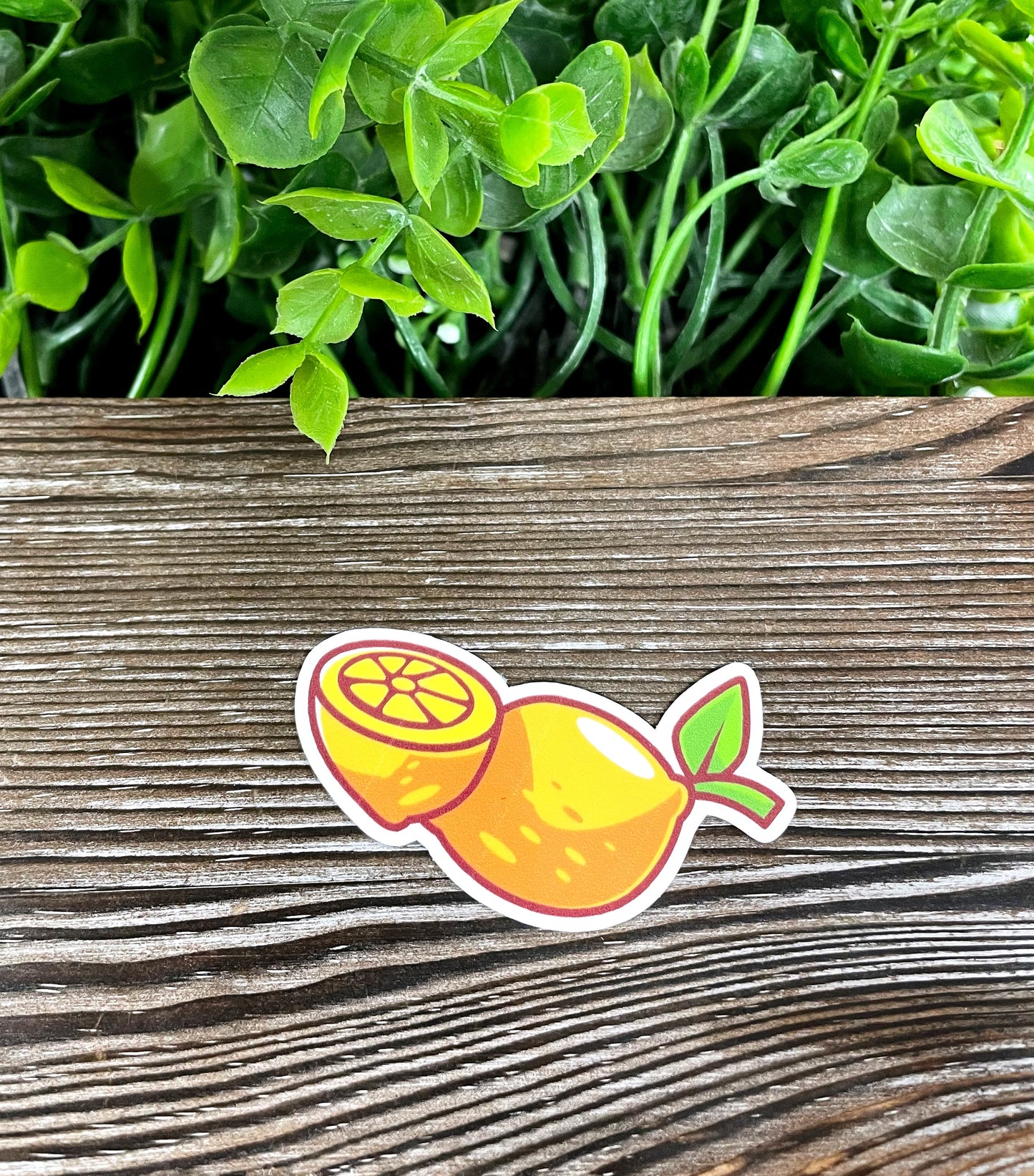 Fresh Yellow Lemon, Die Cut Vinyl Sticker, Boho Fun, Water Resistant, Summer Time, Tropical Fruit |Sticker or Magnet