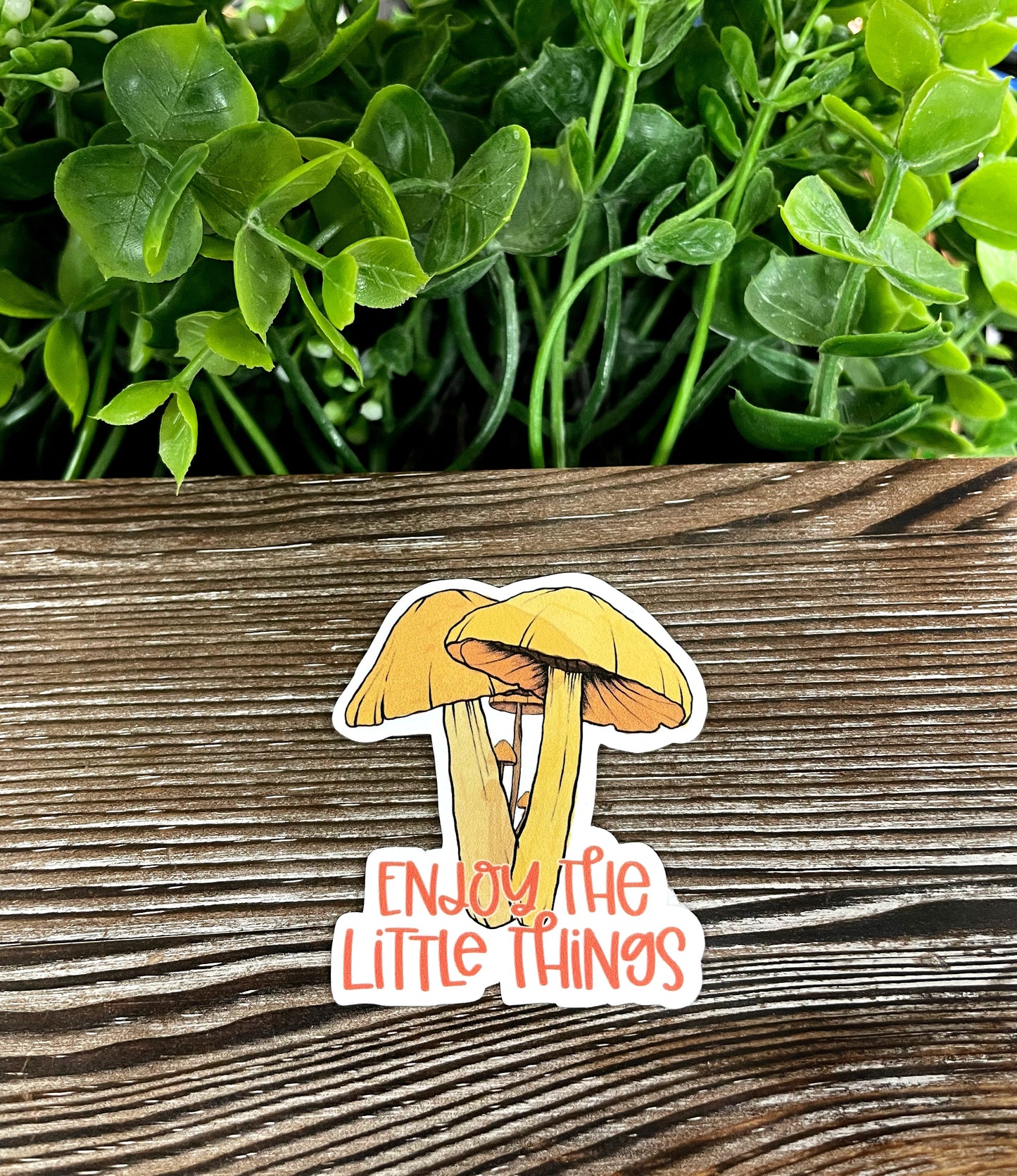 Enjoy the Little Things, Mushrooms, Die Cut Vinyl Sticker, Boho Fun, Water Resistant, Fungi Shrooms Toadstool |Sticker or Magnet
