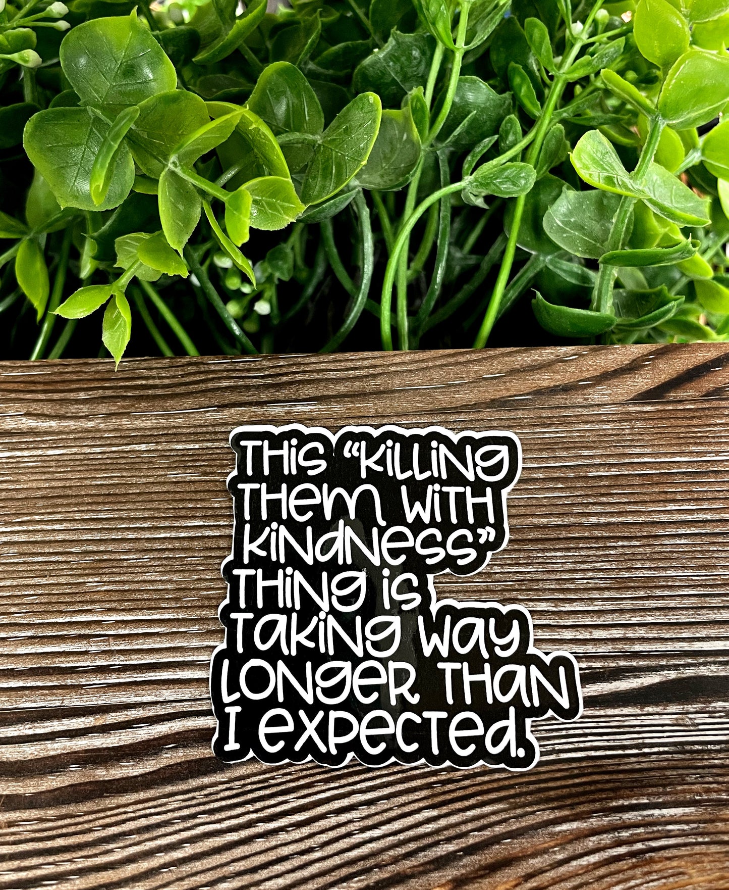 This "Killing them with Kindness" Thing is Taking Way Longer than Expected, Die Cut Vinyl Sticker, Boho Fun, Water Resistant, Snarky Sarcasm Witty Quote, Funny Saying |Sticker or Magnet