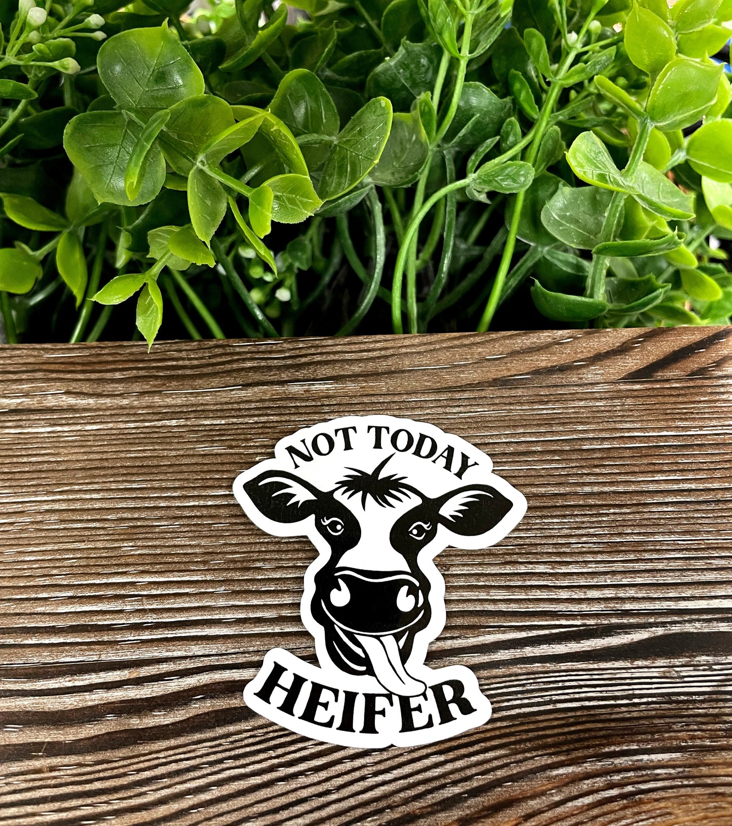 Not Today Heifer Cow Silhouette, Die Cut Vinyl Sticker, Boho Fun, Water Resistant, Farm Life |Sticker or Magnet