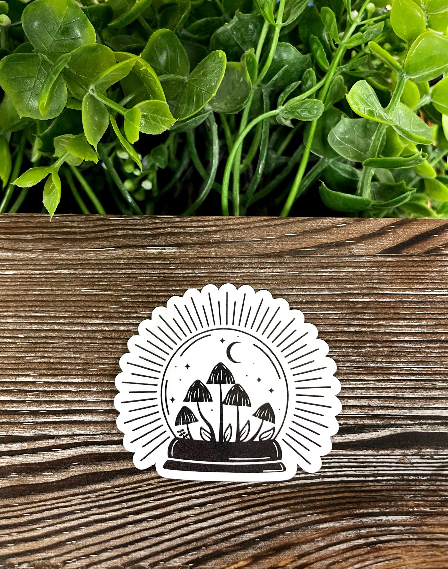 Mushrooms in a Crystal Ball, Die Cut Vinyl Sticker, Boho Fun, Water Resistant, Fungi Shrooms Toadstool |Sticker or Magnet