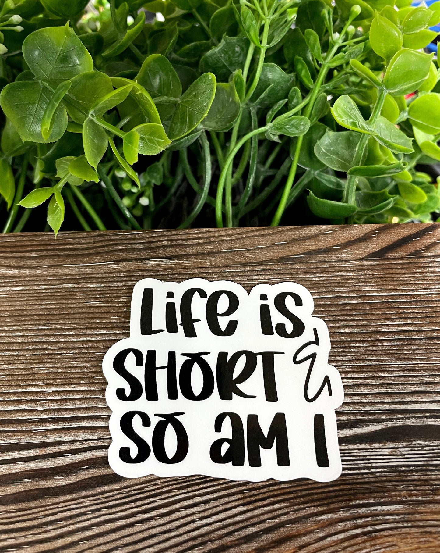 Life is Short and So Am I, Die Cut Vinyl Sticker, Boho Fun, Water Resistant, Snarky Sarcasm Witty Quote, Funny Saying |Sticker or Magnet