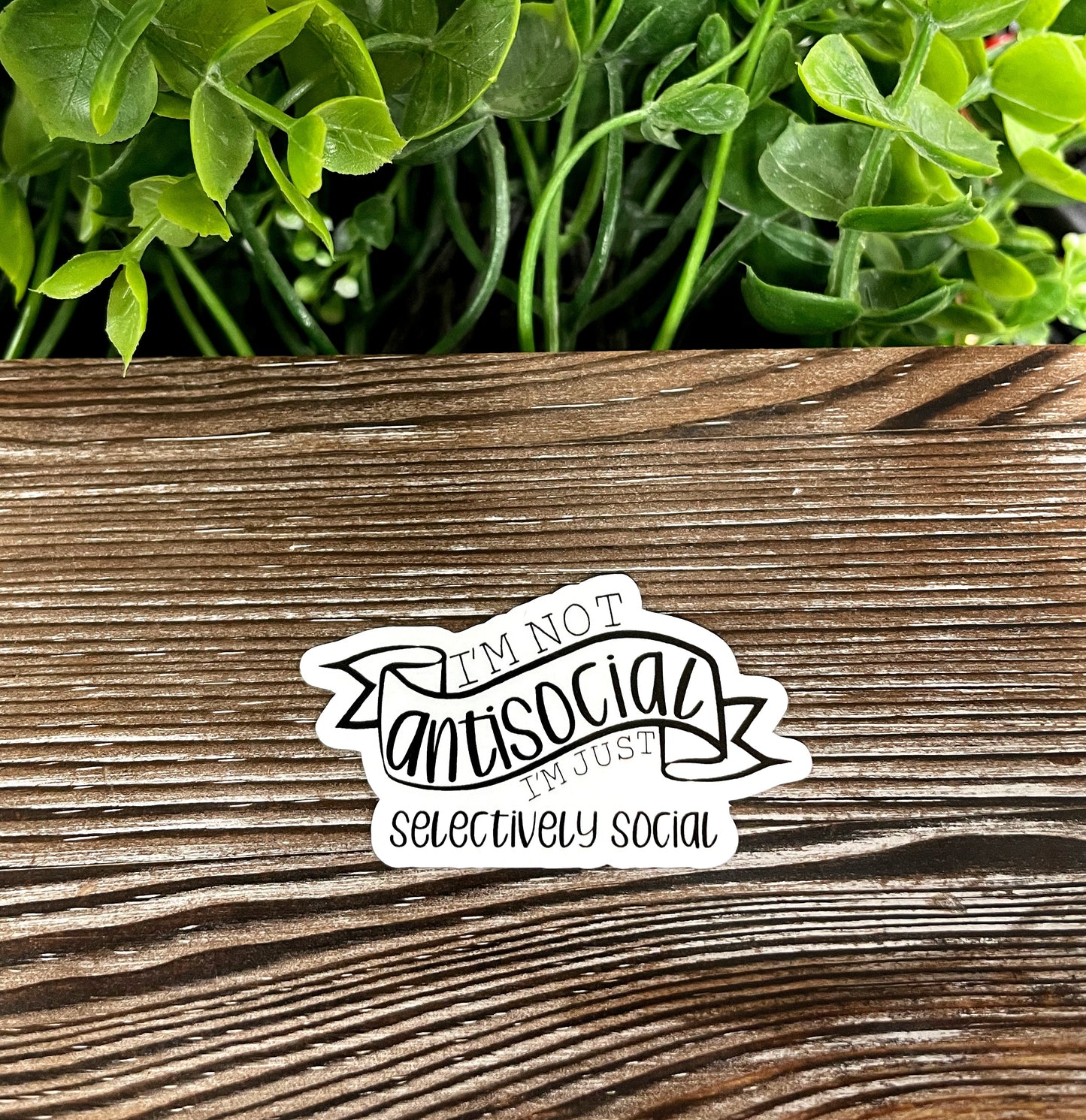 I'm Not Antisocial I'm Just Selectively Social, Die Cut Vinyl Sticker, Boho Fun, Water Resistant, Snarky Sarcasm Witty Quote, Funny Saying |Sticker or Magnet