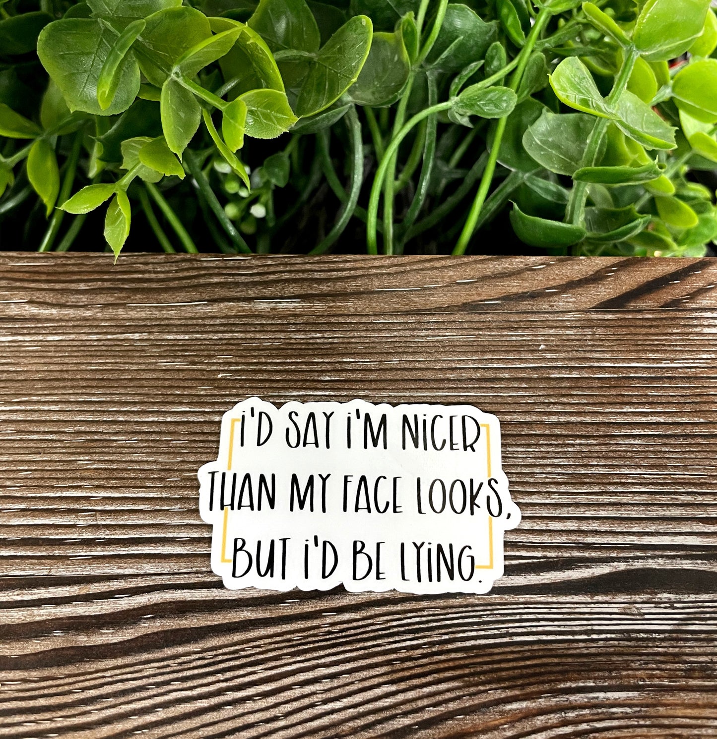 I'd Say I'm Nicer than my Face but I'd be Lying, Die Cut Vinyl Sticker, Boho Fun, Water Resistant, Snarky Sarcasm Witty Quote, Funny Saying |Sticker or Magnet
