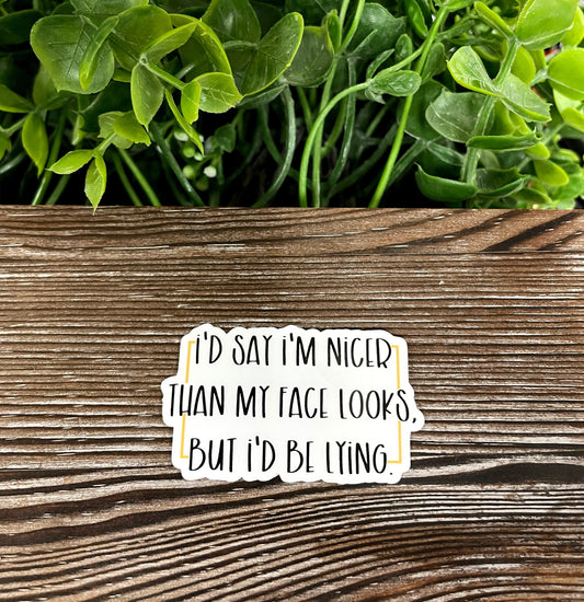 I'd Say I'm Nicer than my Face but I'd be Lying, Die Cut Vinyl Sticker, Boho Fun, Water Resistant, Snarky Sarcasm Witty Quote, Funny Saying |Sticker or Magnet