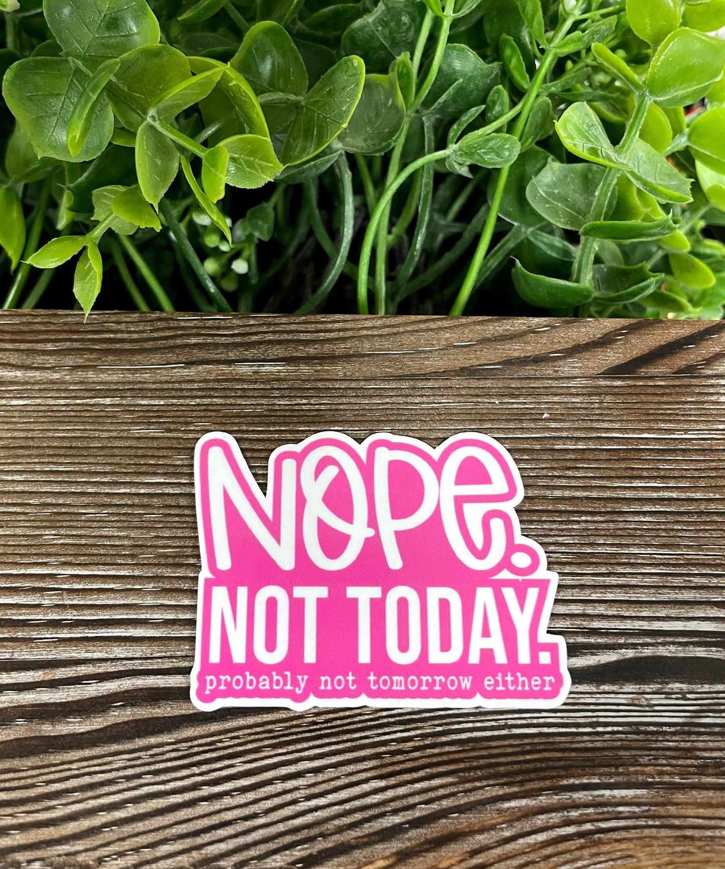 Nope Not Today, Die Cut Vinyl Sticker, Boho Fun, Water Resistant, Snarky Sarcasm Witty Quote, Funny Saying |Sticker or Magnet