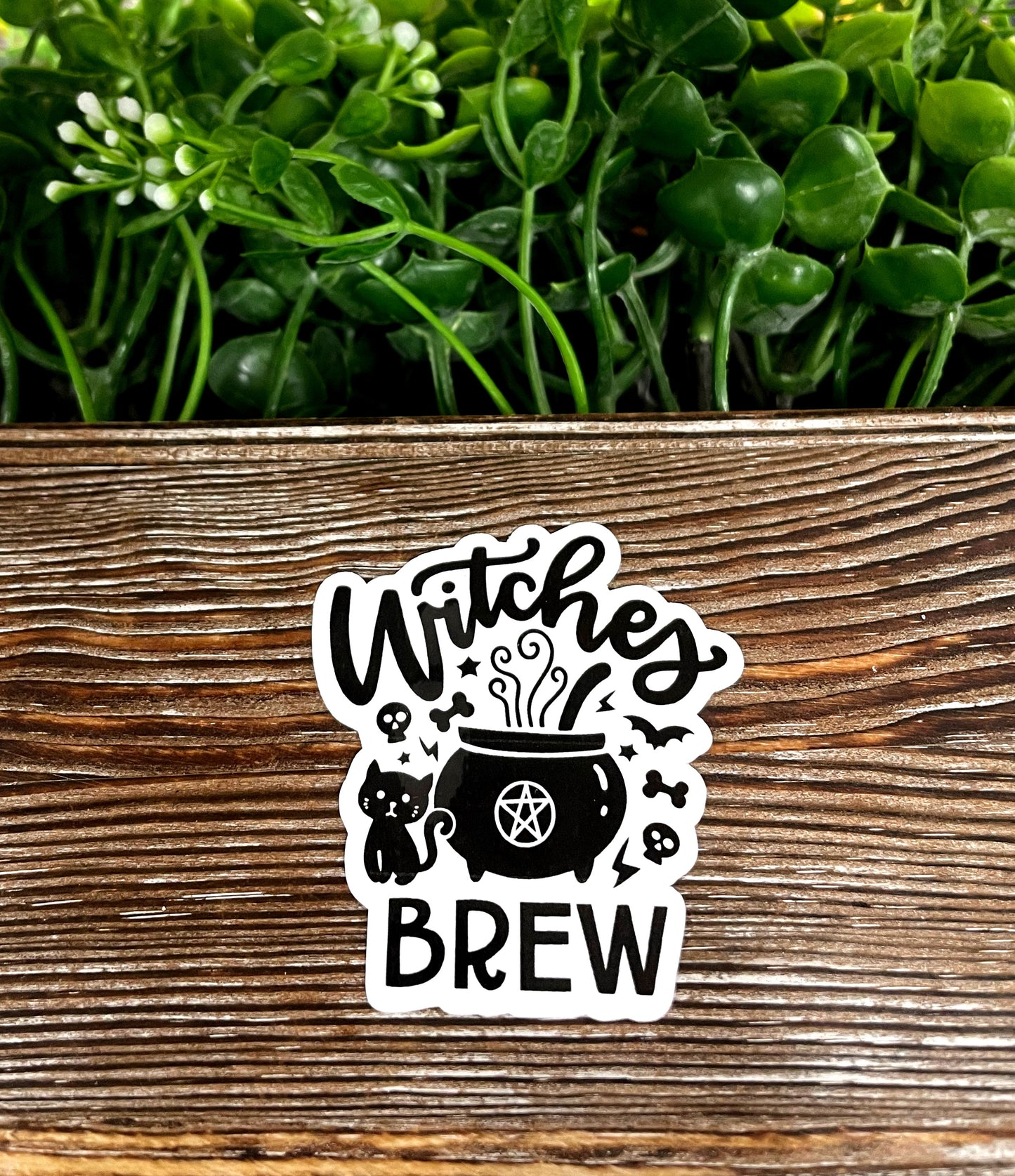 Witches Brew , Die Cut Vinyl Sticker, Boho Fun, Water Resistant, Black Cat Halloween |Sticker or Magnet
