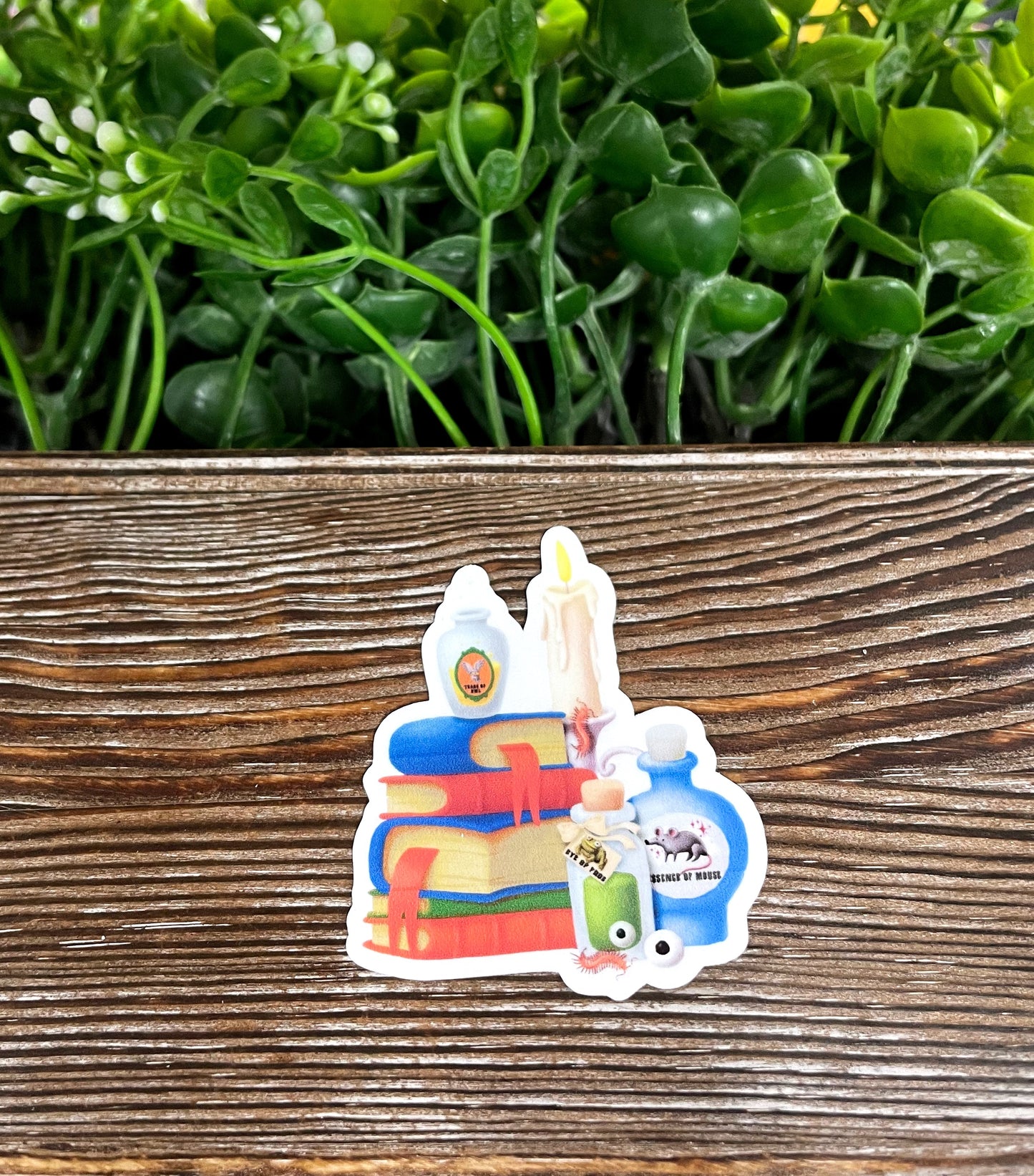 Books and Potions, Die Cut Vinyl Sticker, Water Resistant, Halloween Magic Creepy |Sticker or Magnet