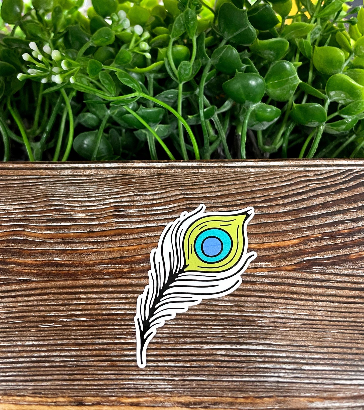 Peacock Feather, Die Cut Vinyl Sticker, Boho Fun, Water Resistant, Halloween Spooky Wiccan Magic |Sticker or Magnet