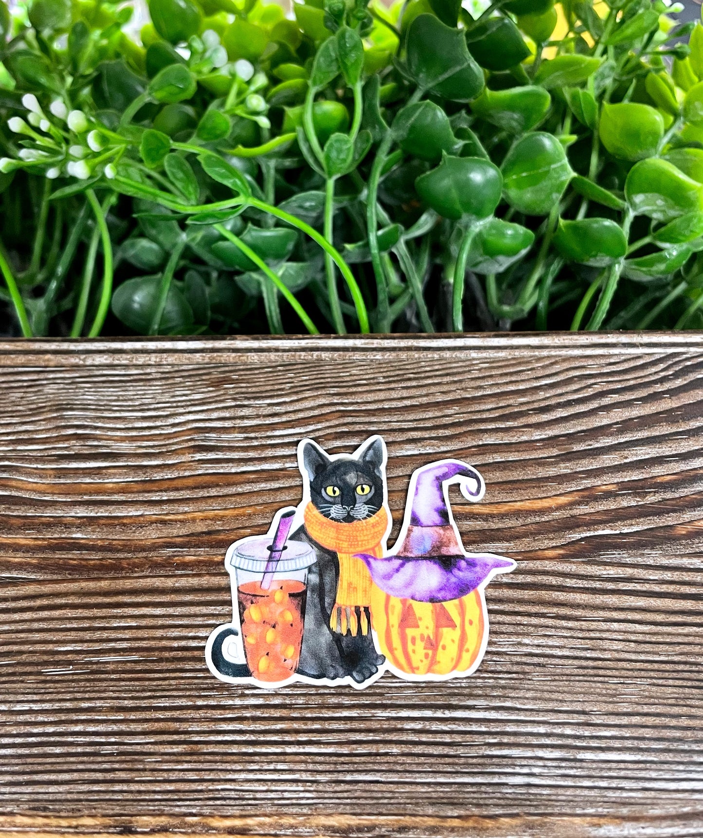 Halloween Cat Pumpkin and Coffee, Die Cut Vinyl Sticker, Boho Fun, Water Resistant, Costume Spooky Puppy |Sticker or Magnet