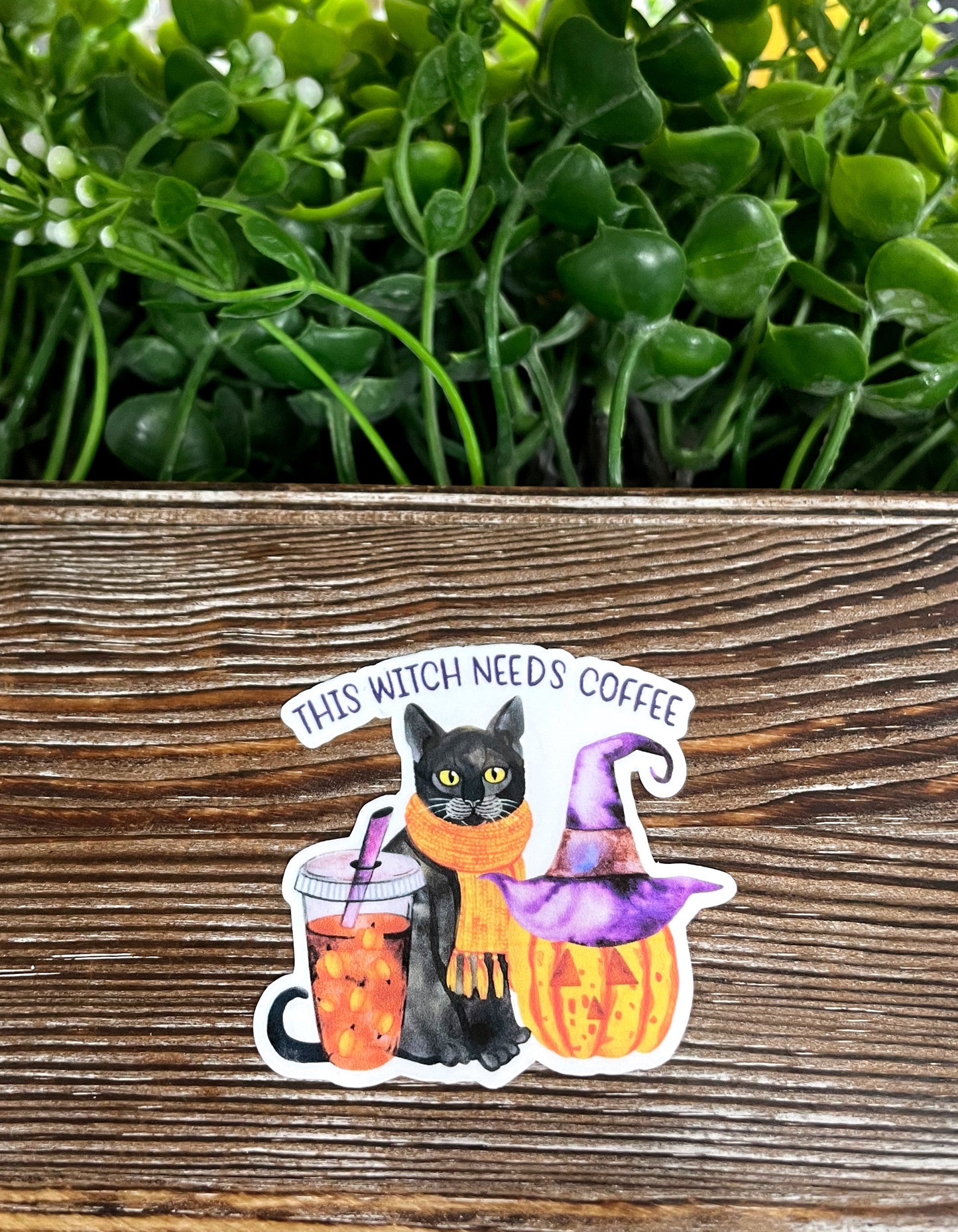 This Witch Needs Coffee, Halloween Cat Pumpkin, Die Cut Vinyl Sticker, Boho Fun, Water Resistant, Costume Spooky Puppy |Sticker or Magnet