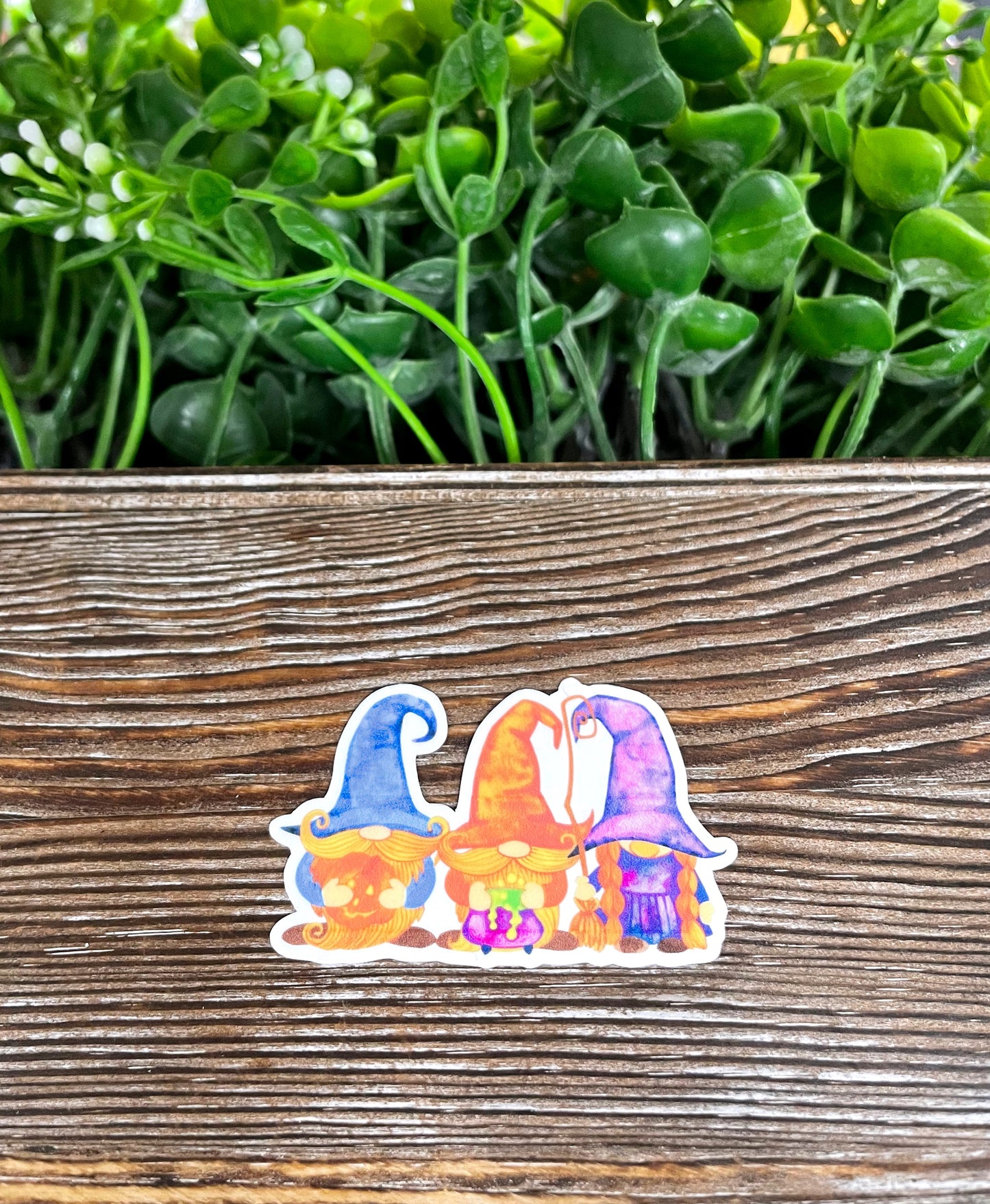 Halloween Gnomes, Die Cut Vinyl Sticker, Boho Fun, Water Resistant, Costume Spooky Fall |Sticker or Magnet