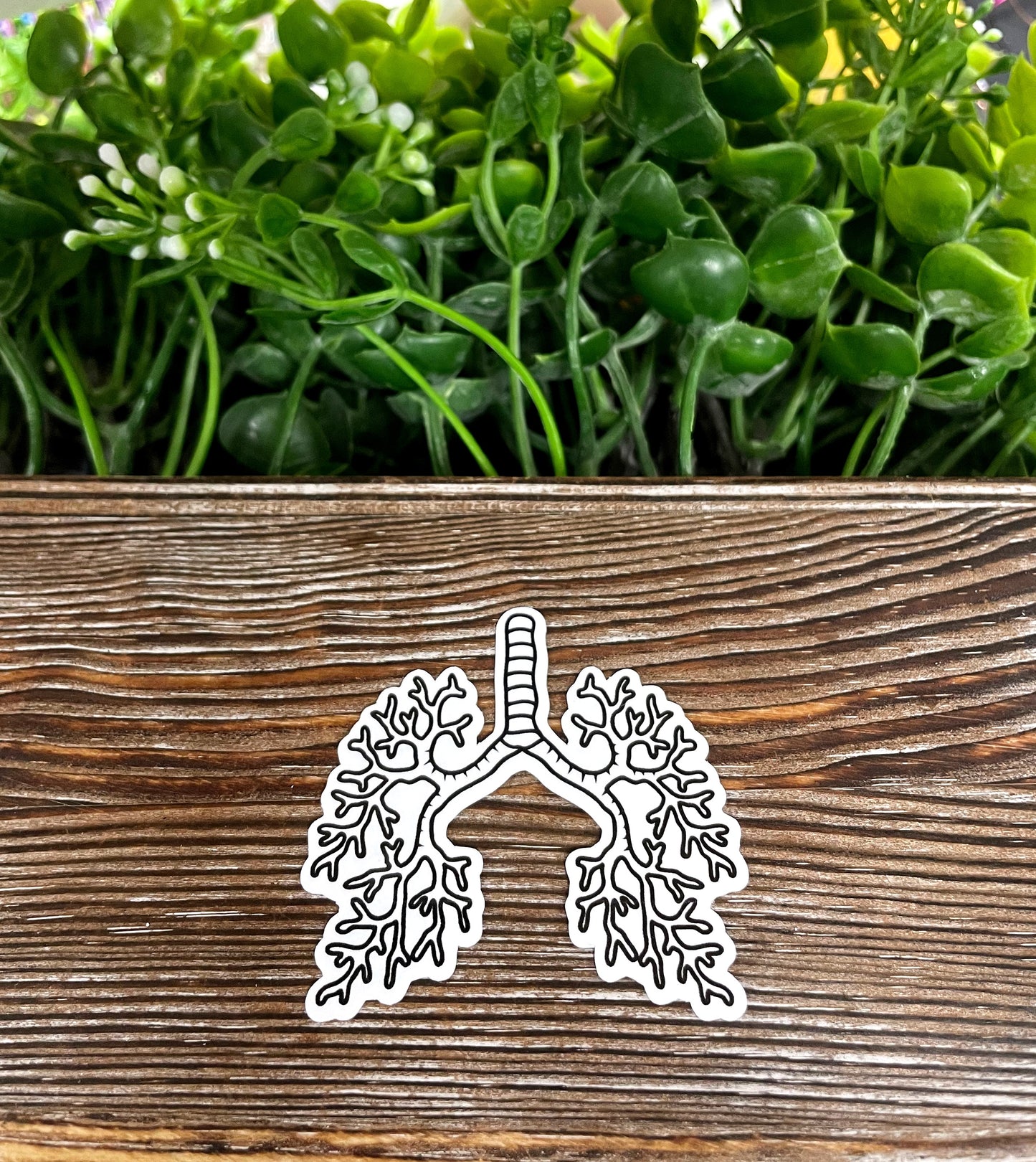 Branch Lungs, Die Cut Vinyl Sticker, Water Resistant, Botanical Anatomy, Pulmonology Gift, Cystic Fibrosis |Sticker or Magnet