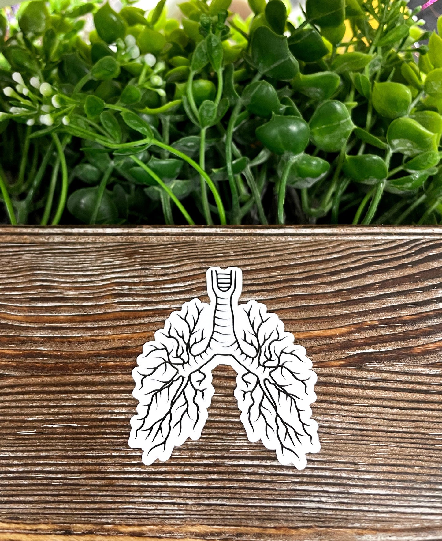 Lungs Graphic, Die Cut Vinyl Sticker, Water Resistant, Botanical Anatomy, Pulmonology Gift, Medical Student |Sticker or Magnet
