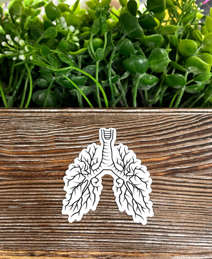 Lungs Graphic, Die Cut Vinyl Sticker, Water Resistant, Botanical Anatomy, Pulmonology Gift, Medical Student |Sticker or Magnet