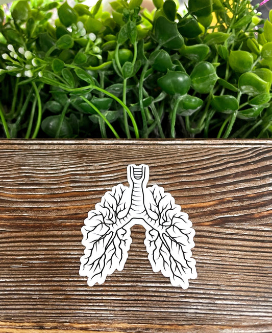 Lungs Graphic, Die Cut Vinyl Sticker, Water Resistant, Botanical Anatomy, Pulmonology Gift, Medical Student |Sticker or Magnet