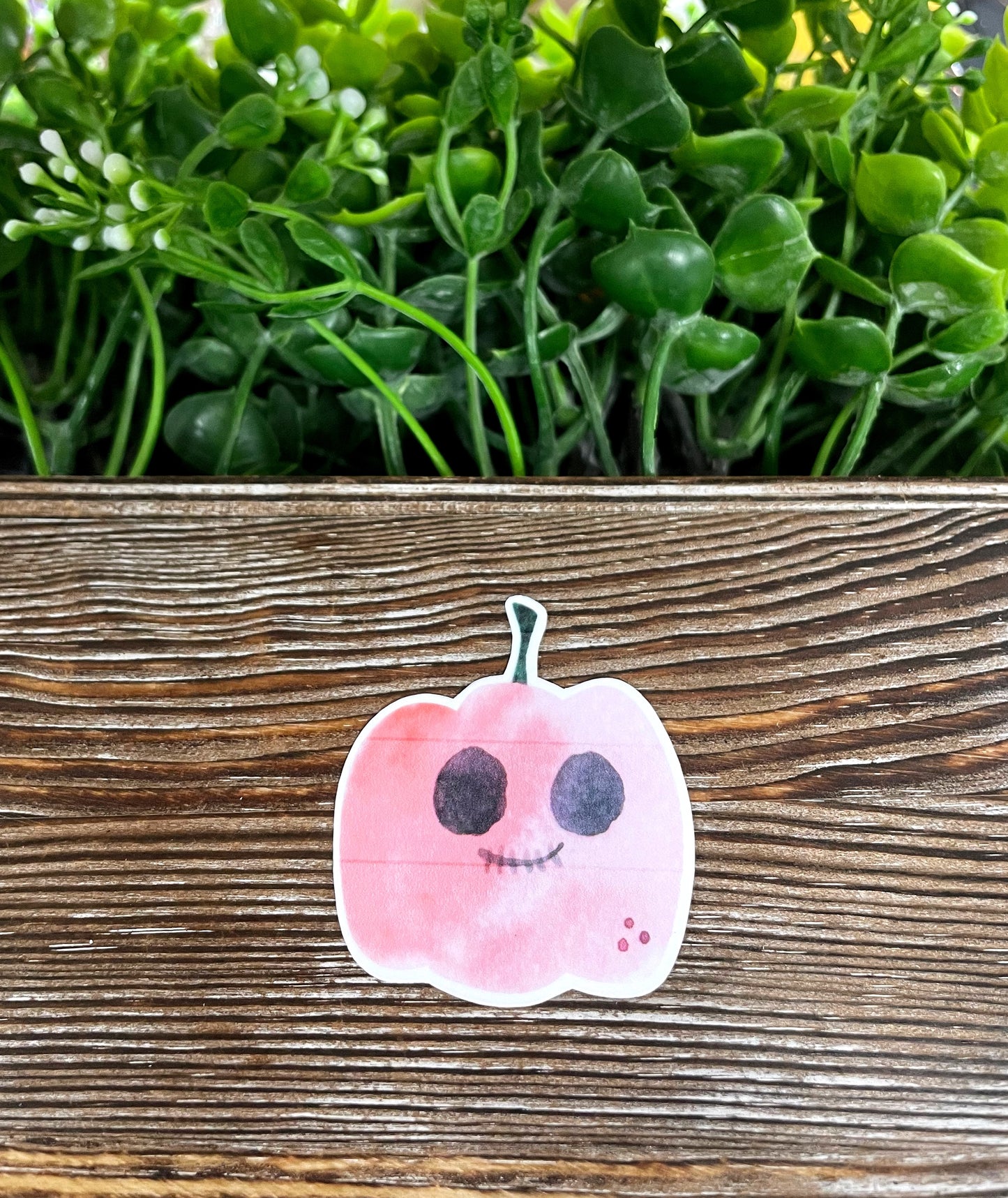 Pastel Pink Pumpkin, Die Cut Vinyl Sticker, Boho Fun, Water Resistant, Halloween Spooky Fall |Sticker or Magnet