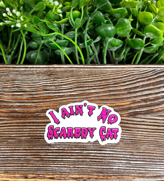 I Ain't No Scaredy Cat, Die Cut Vinyl Sticker, Boho Fun, Water Resistant, Halloween Spooky |Sticker or Magnet