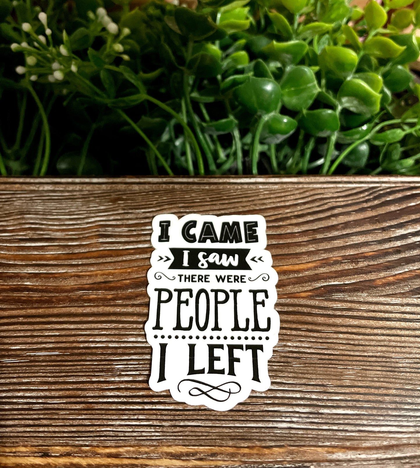 Social Anxiety Sticker, Anxiety Vinyl Sticker, Laptop Decal, Water Bottle Sticker, Adult Humor, Introvert Quotes, Mental Health Awareness |Sticker or Magnet
