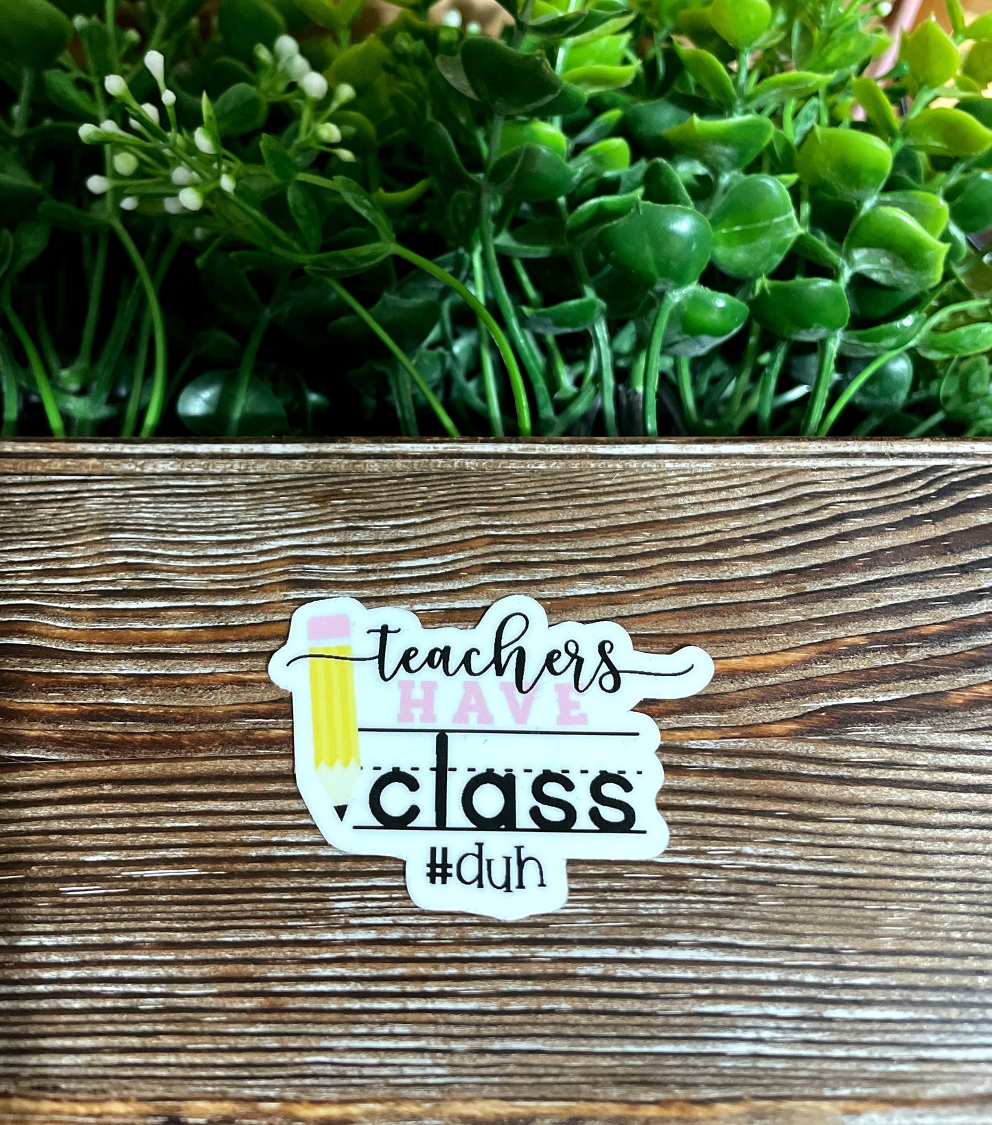 Teachers Have Class Duh |Sticker or Magnet |Teaching Gift