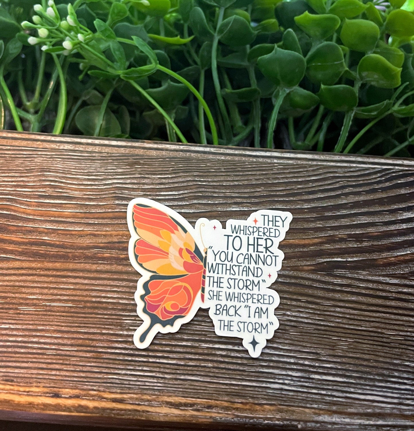 I Am The Storm |Vinyl Sticker or Magnet |Refrigerator Fridge Car |Motivational Empower |Feminism Women |Strong Inspire |Sticker or Magnet