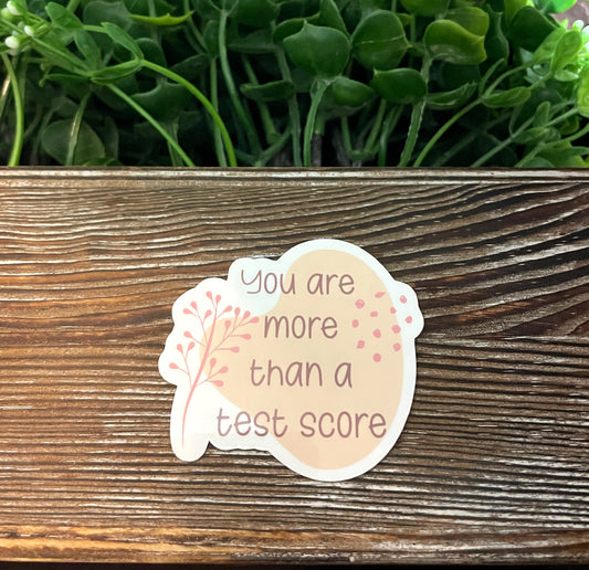You Are More Than A Test Score, Vinyl Sticker, Water Resistant, Motivational Empower, Teacher Student Gift, Positive Quotes, School Testing Exams |Sticker or Magnet