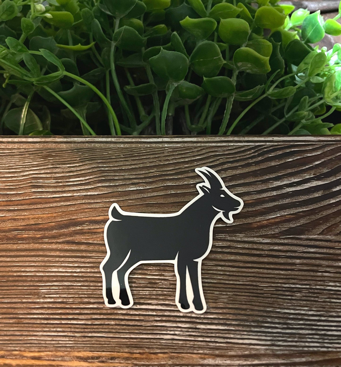 Black Goat Silhouette |Lightweight Vinyl Sticker or Magnet |Refrigerator Fridge Car |Farm Life |Love Animals |Nigerian Dwarf Minis |Sticker or Magnet