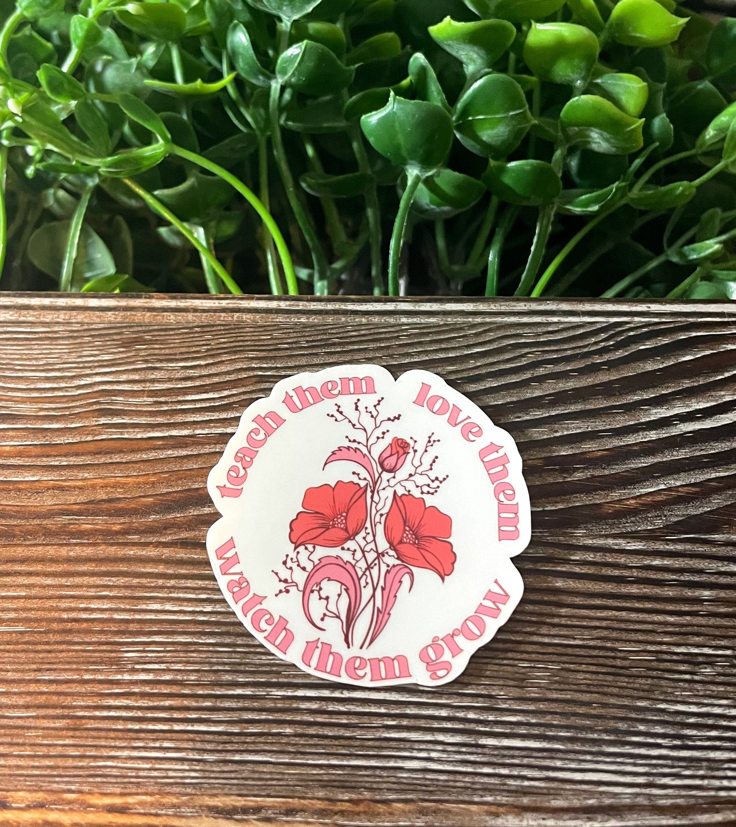 Teach Them Love Them Watch Them Grow |Vinyl Sticker or Magnet |Refrigerator Fridge Car |Motivational Empower |Teacher Parent Gift |Positive Quotes |Sticker or Magnet