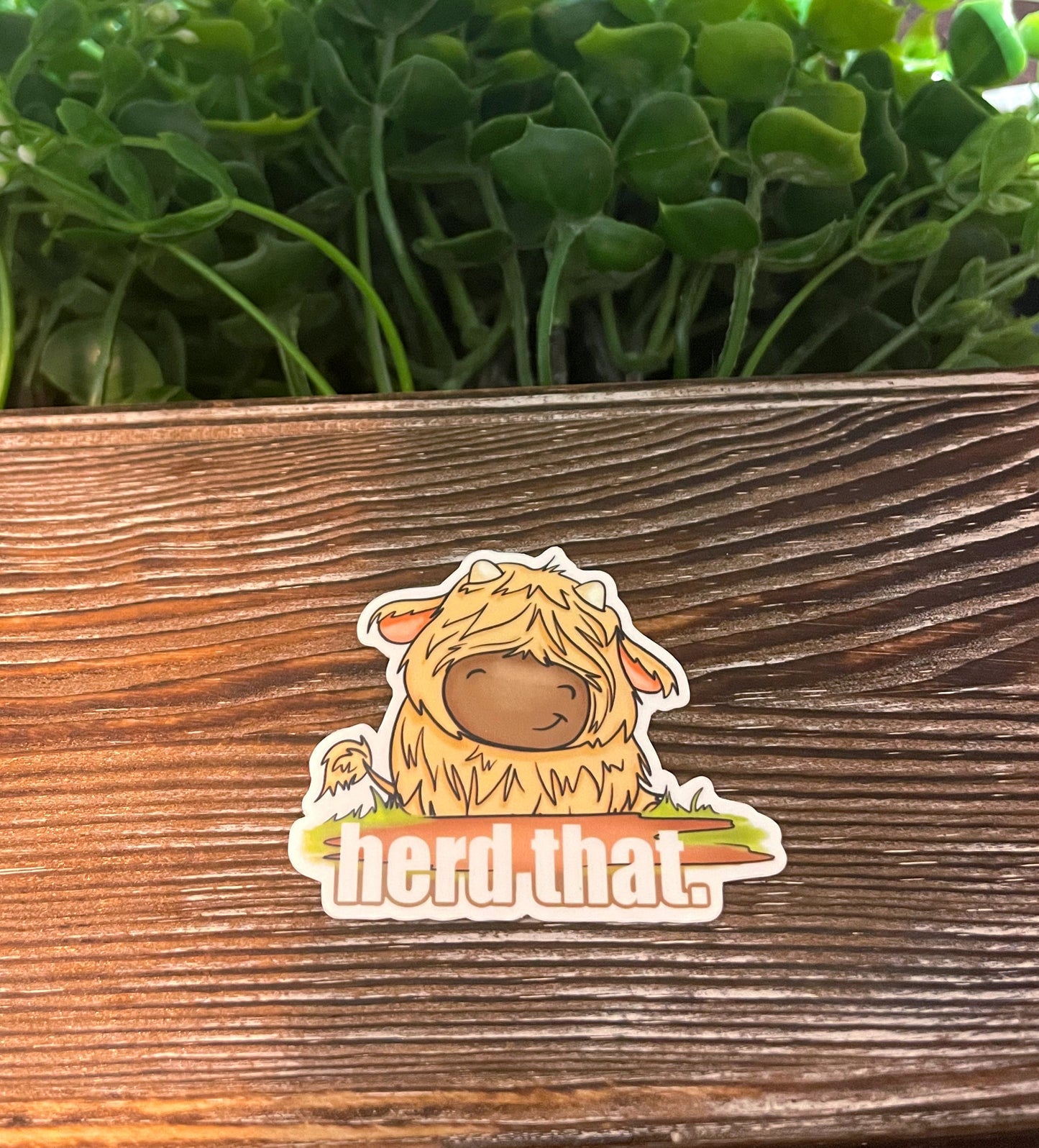 Herd That Cute Cow |Lightweight Vinyl Sticker or Magnet |Refrigerator Fridge Car |Farm Life |Love Animals |Barn Yard |Sticker or Magnet
