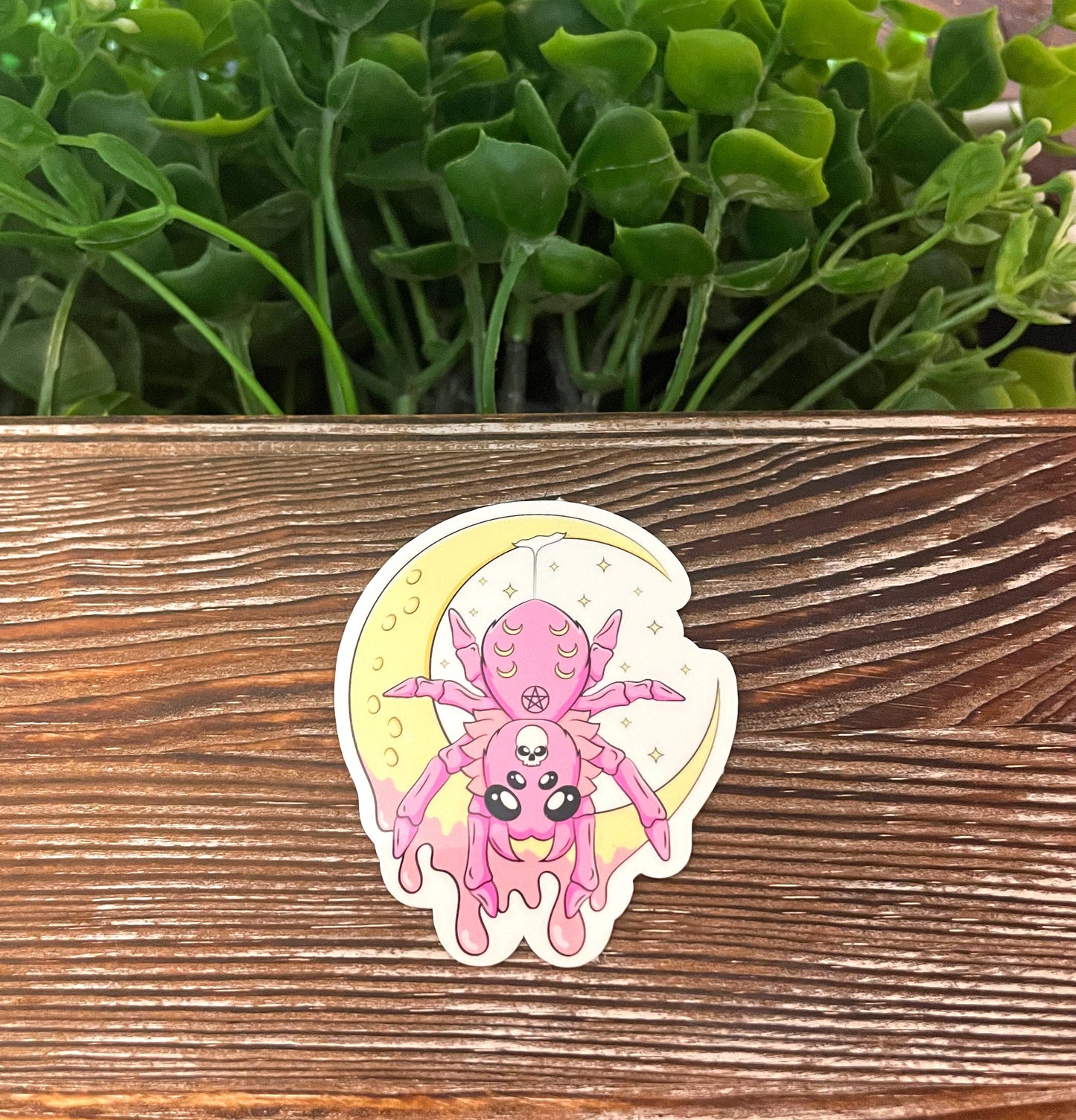 Kawaii Spider Sticker |Vinyl Sticker or Magnet |Refrigerator Fridge Car |Fantasy Mythical Creature |Gift for Girl |Pastel Colors |Cute Creepy Pastel Goth |Sticker or Magnet
