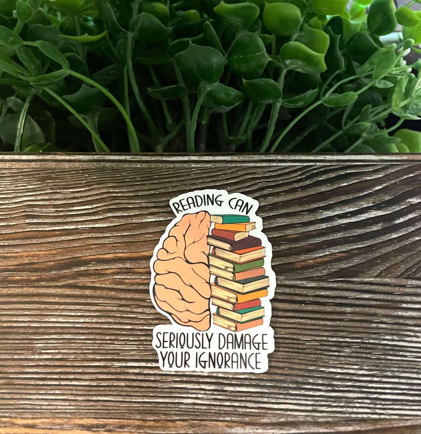 Funny Reading Sticker |Vinyl Sticker or Magnet |Refrigerator Fridge Car |Learn Knowledge |Love to Read |Gift for Reader |Funny Quote |E-Reader Laptop |Sticker or Magnet