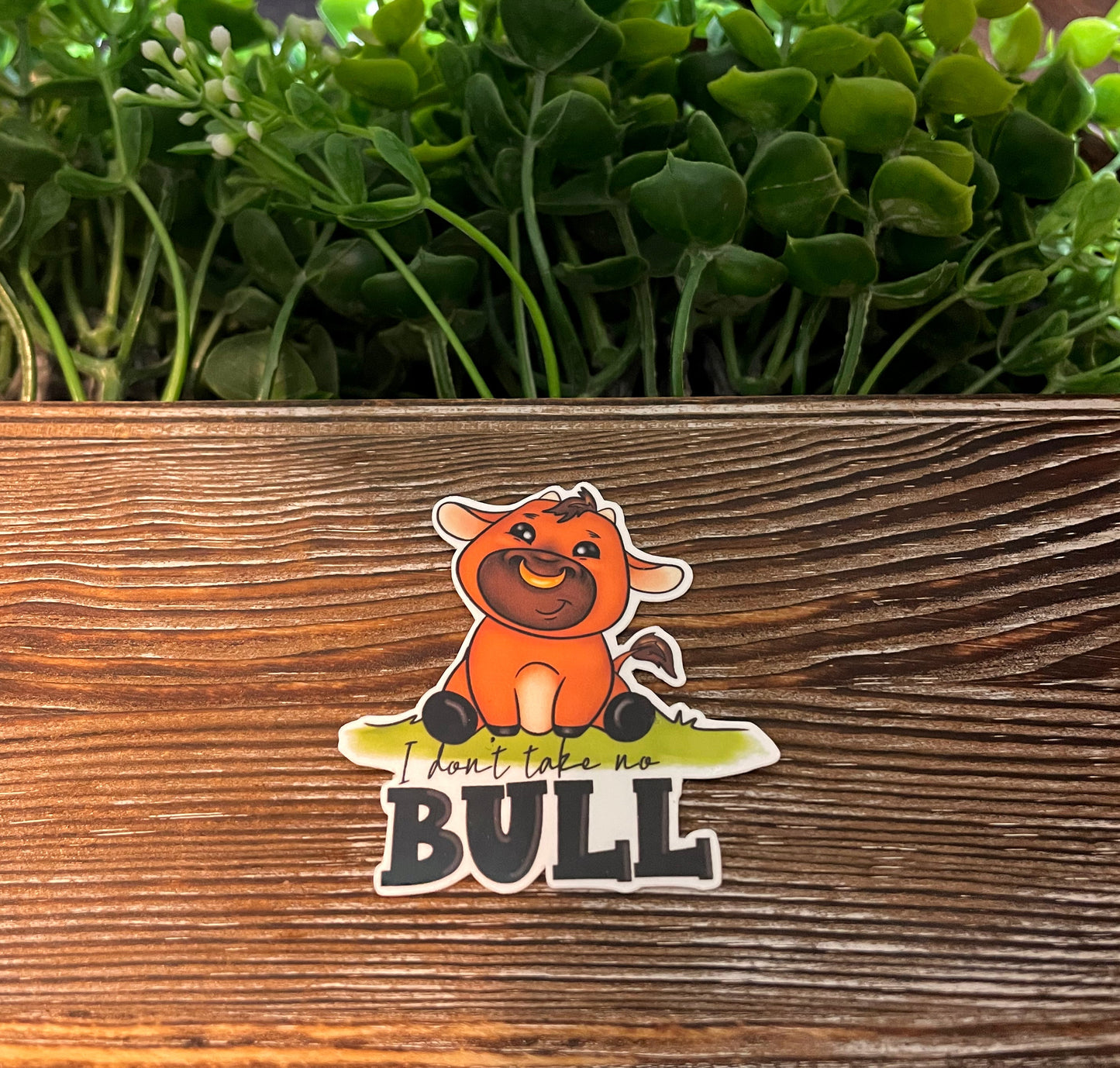 I Don't Take No Bull Sticker |Sticker or Magnet