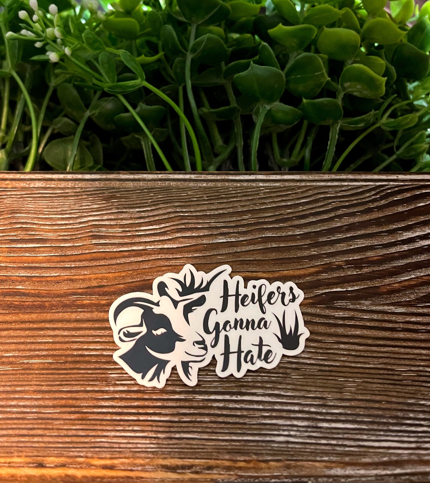 Heifers Gonna Hate |Goat Silhouette |Lightweight Vinyl Sticker or Magnet |Refrigerator Fridge Car |Farm Life |Love Animals |Nigerian Dwarf Minis |Sticker or Magnet