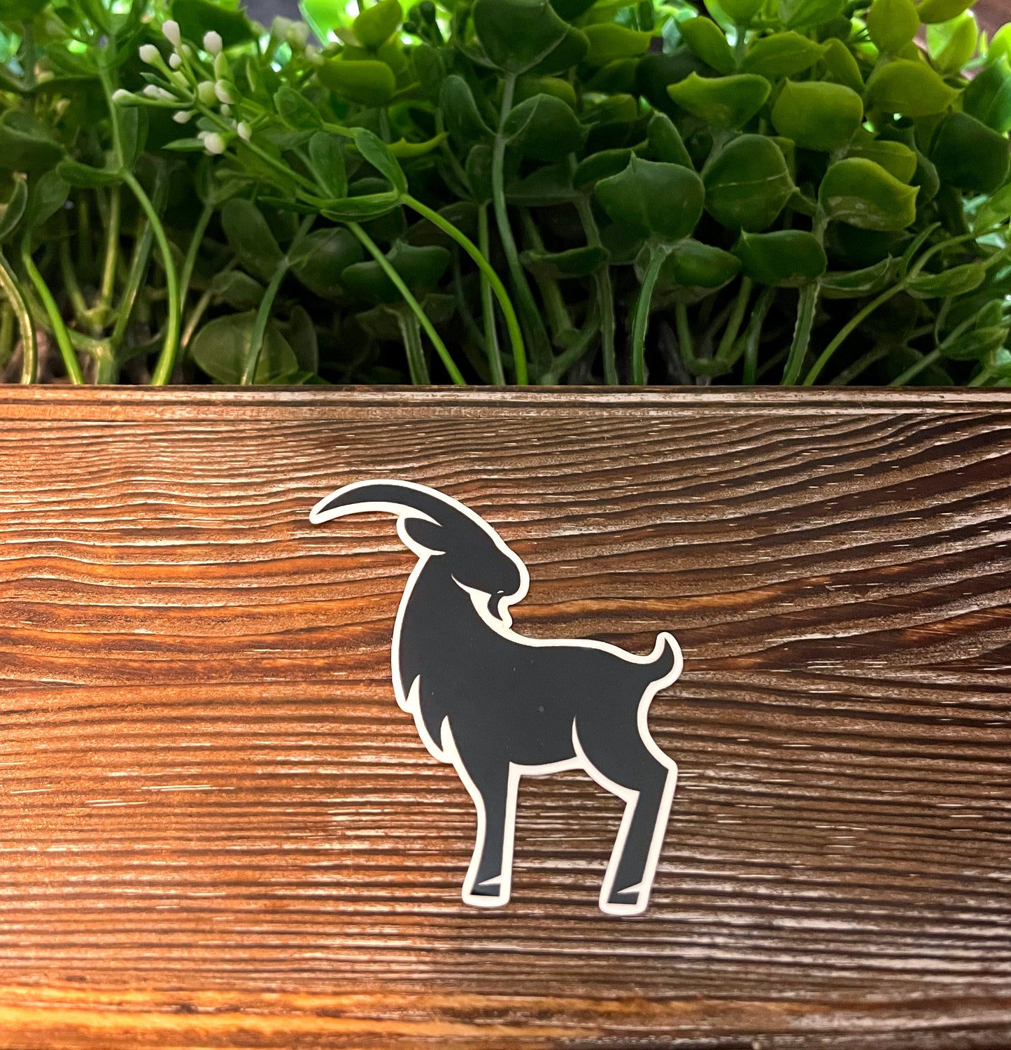 Black Goat w/ Horns Silhouette |Lightweight Vinyl Sticker or Magnet |Refrigerator Fridge Car |Farm Life |Love Animals |Nigerian Dwarf Minis |Sticker or Magnet