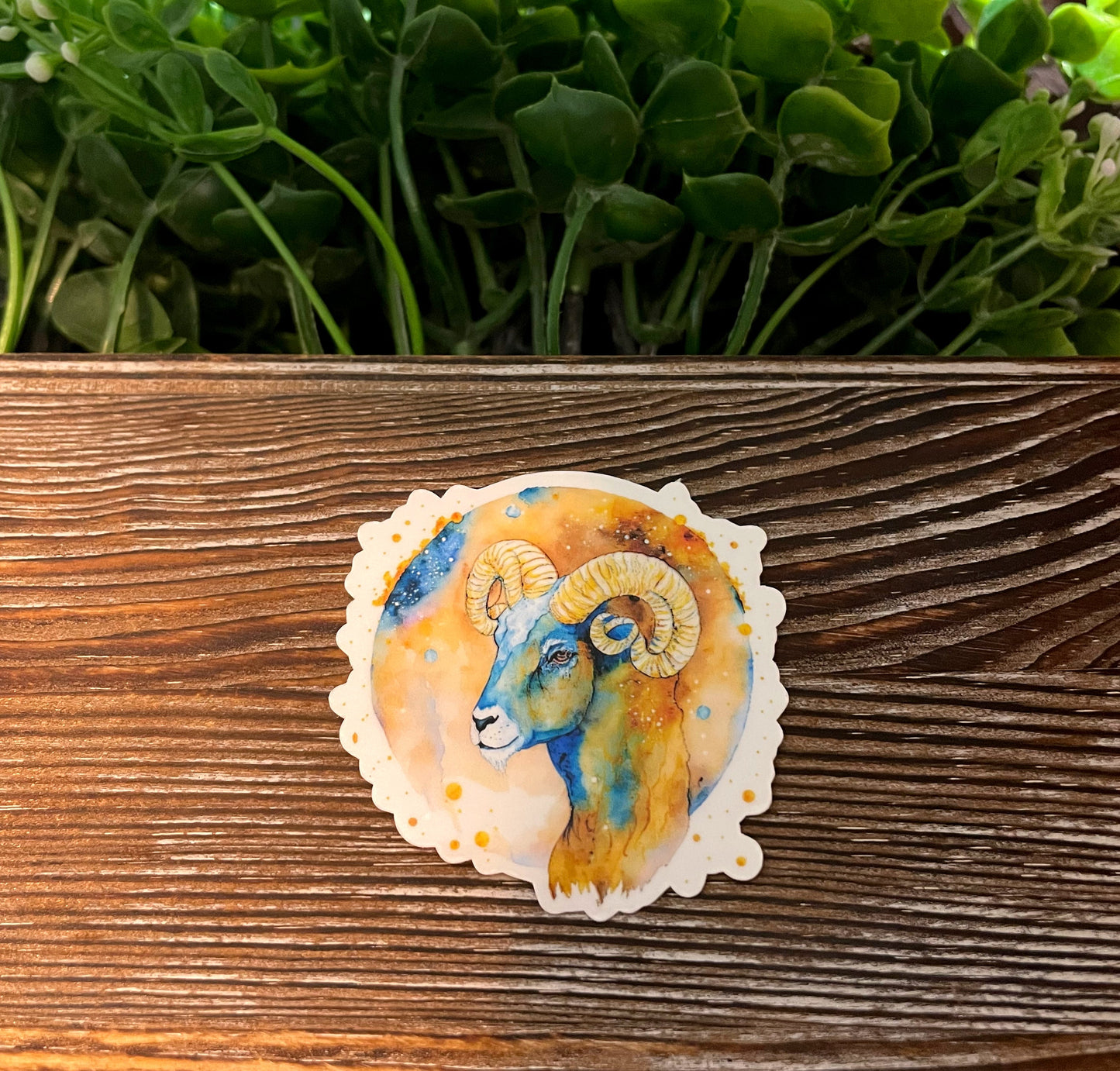 Capricorn Zodiac Sign |Lightweight Vinyl Sticker or Magnet |Boho Fun |Refrigerator Fridge Car |Astrology Watercolor |Horoscope Symbols |Sticker or Magnet