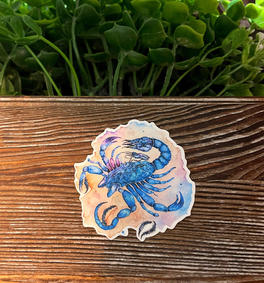 Scorpio Zodiac Sign |Lightweight Vinyl Sticker or Magnet |Boho Fun |Refrigerator Fridge Car |Astrology Watercolor |Horoscope Symbols |Sticker or Magnet