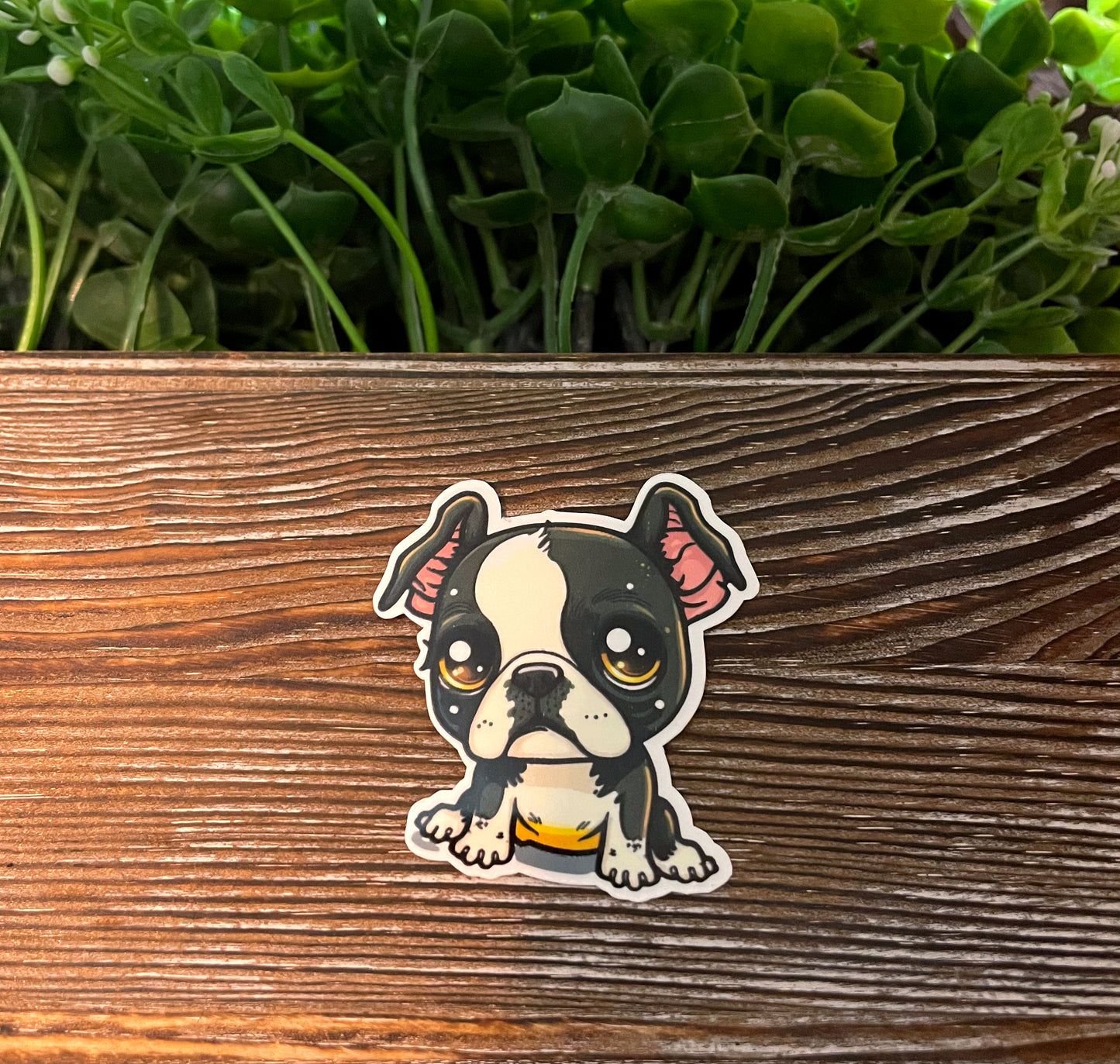 Boston Terrier, Die Cut Vinyl Sticker, Boho Fun, Water Resistant, Dog Mom Animal Lover, Pet Breed |Sticker or Magnet
