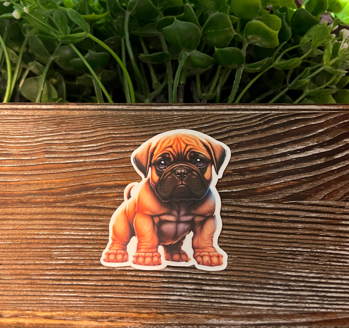 Bullmastiff, Die Cut Vinyl Sticker, Boho Fun, Water Resistant, Dog Mom Animal Lover, Pet Breed |Sticker or Magnet