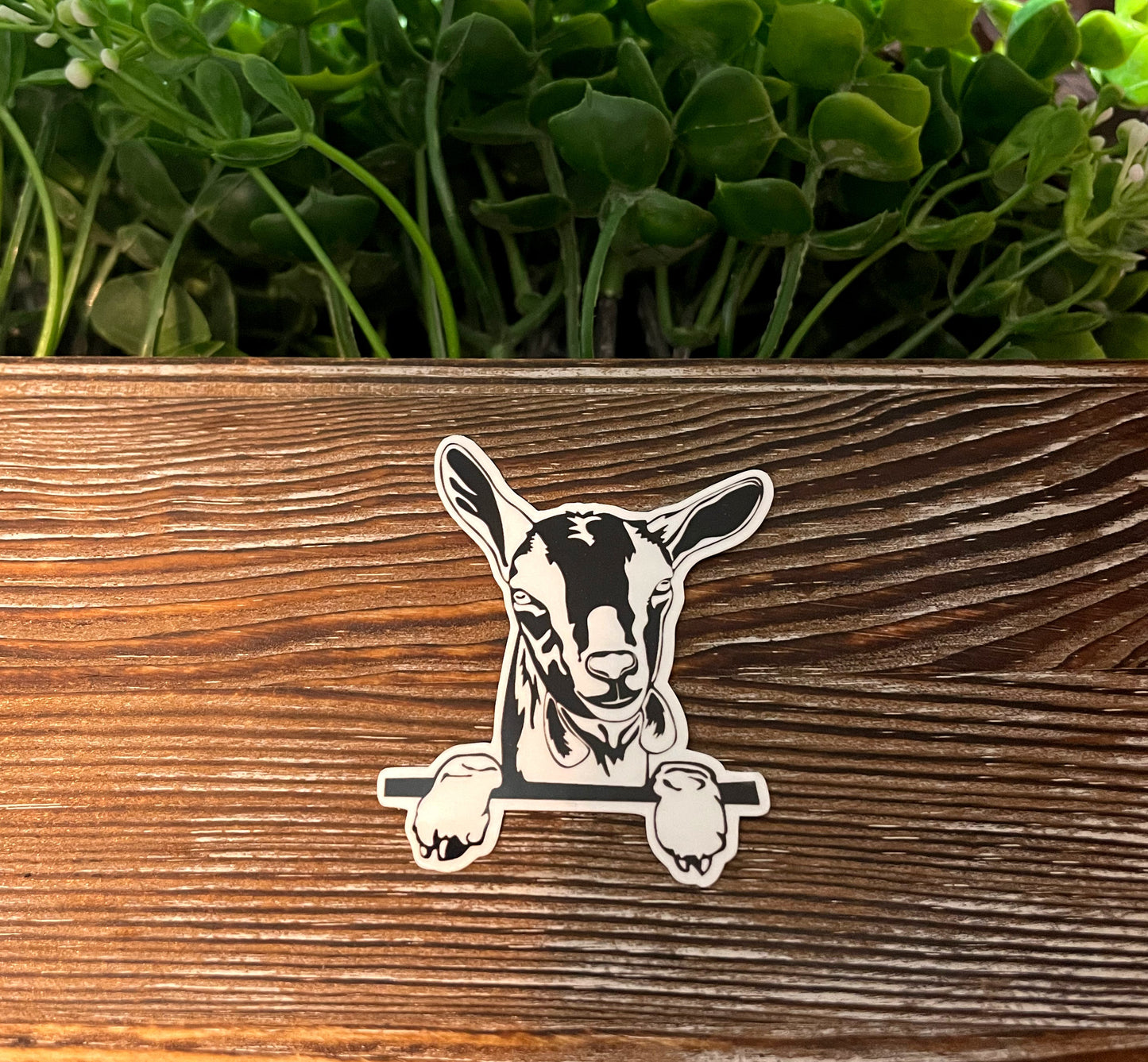 Goat Hanging Over Fence Silhouette |Lightweight Vinyl Sticker or Magnet |Refrigerator Fridge Car |Farm Life |Love Animals |Barn Yard Mini |Sticker or Magnet