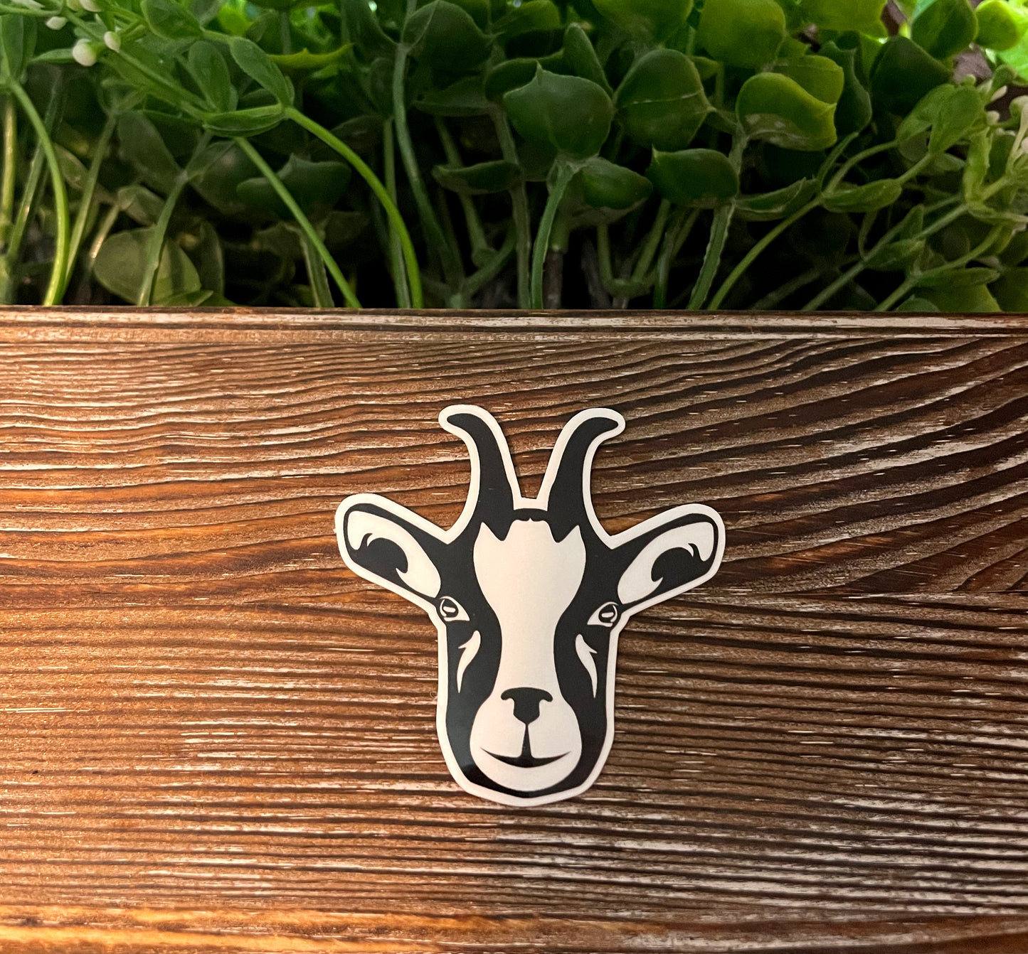Goat Face Sticker or Magnet |Sticker or Magnet