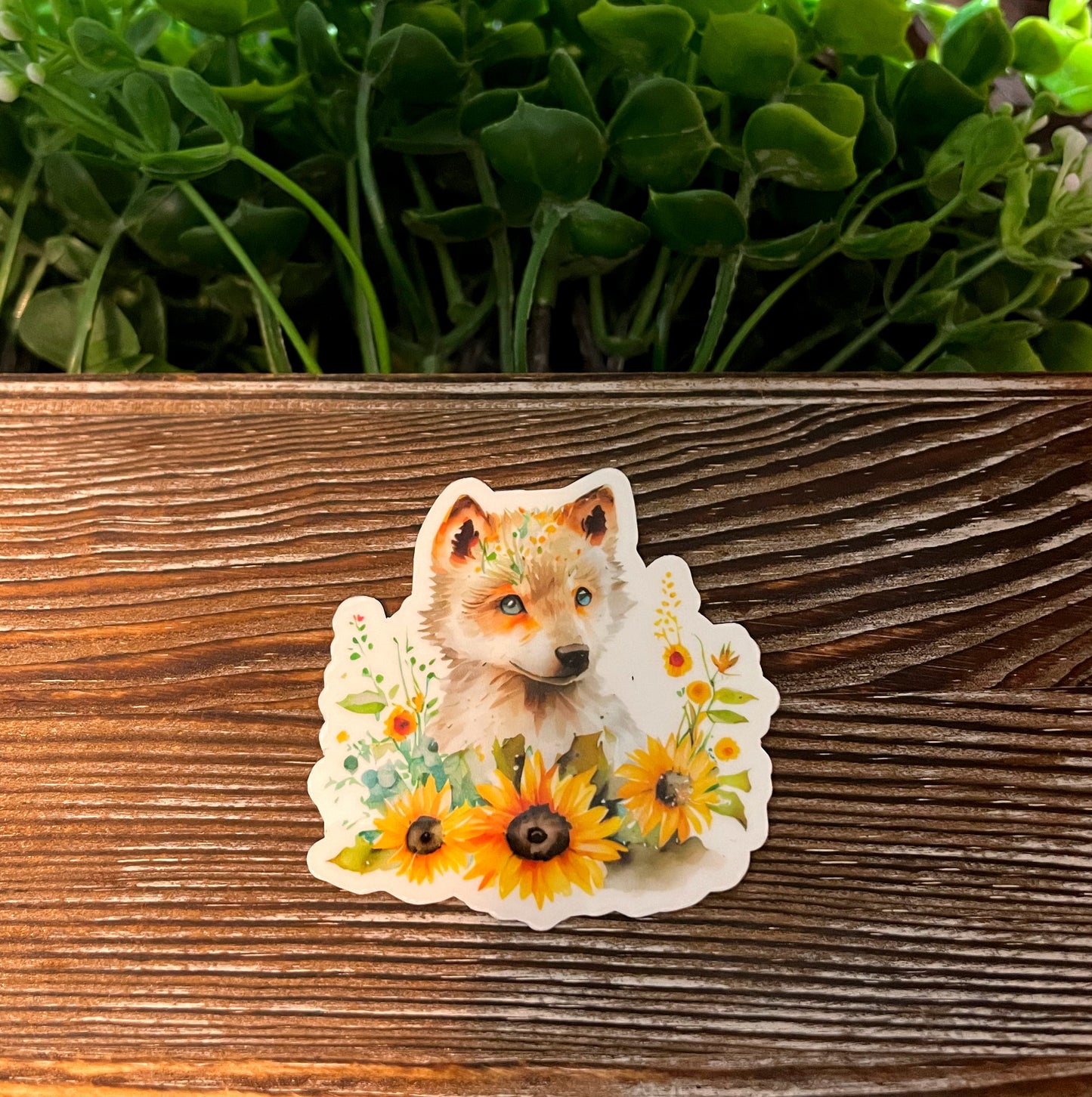 Baby Wolf w/ Sunflowers |Lightweight Vinyl Sticker or Magnet |Refrigerator Fridge Car |Love Animals |Wildlife Forest |Sticker or Magnet