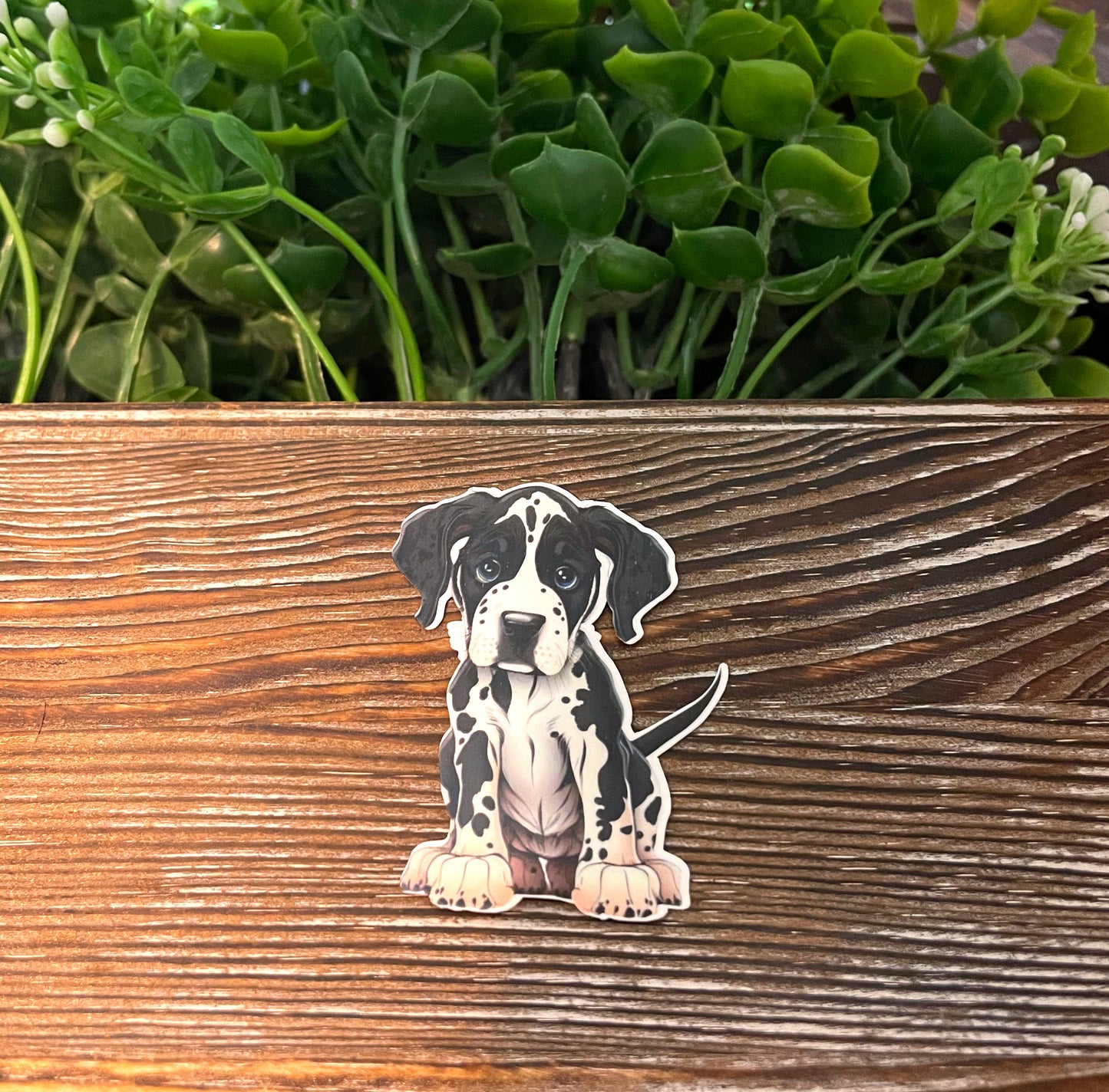 Great Dane Puppy, Die Cut Vinyl Sticker, Boho Fun, Water Resistant, Dog Mom Animal Lover, Pet Breed |Sticker or Magnet