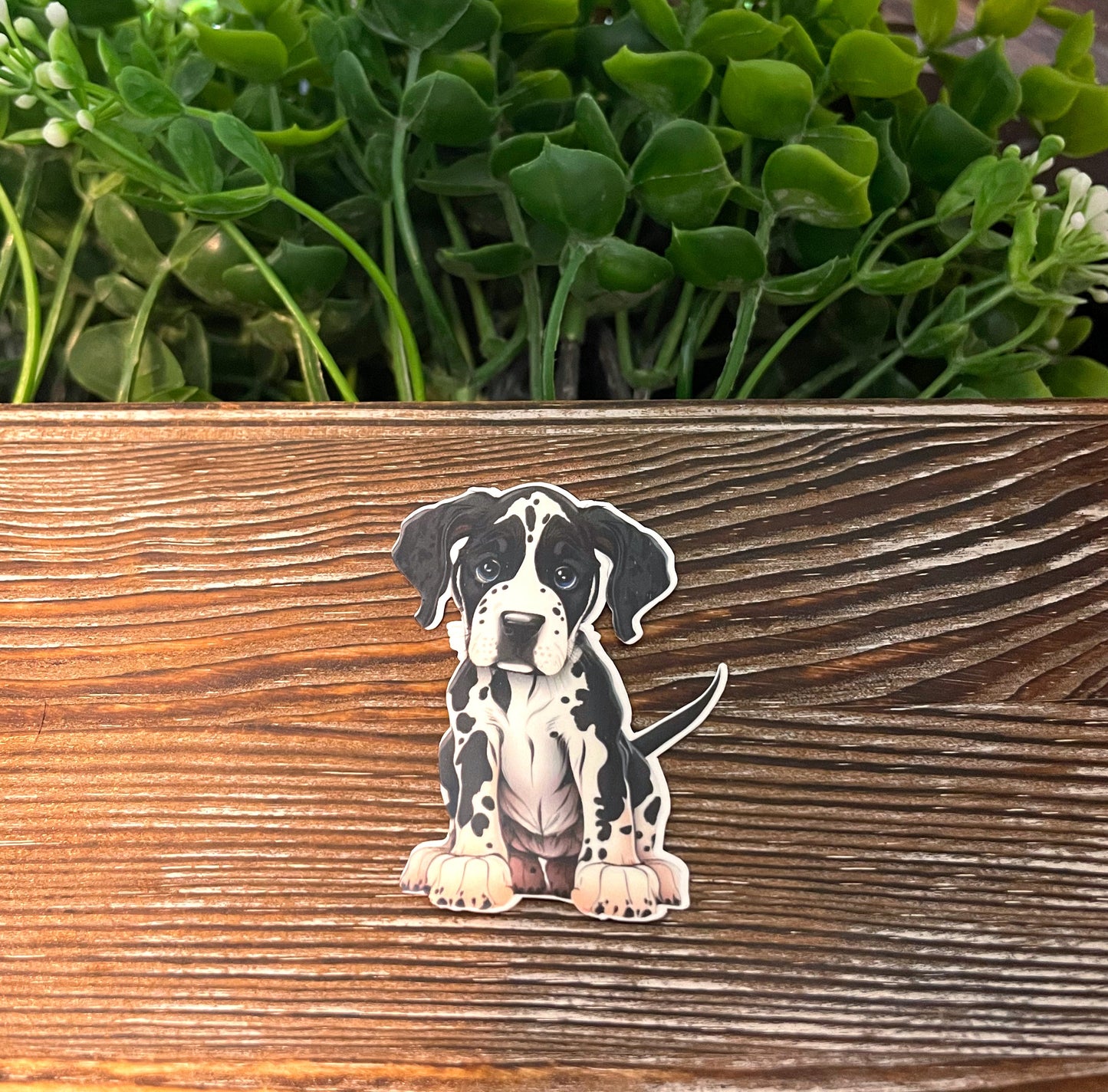 Great Dane Puppy |Lightweight Vinyl Sticker or Magnet |Boho Fun |Refrigerator Fridge Car |Dog Mom Animal Lover |Pet Breed |Sticker or Magnet