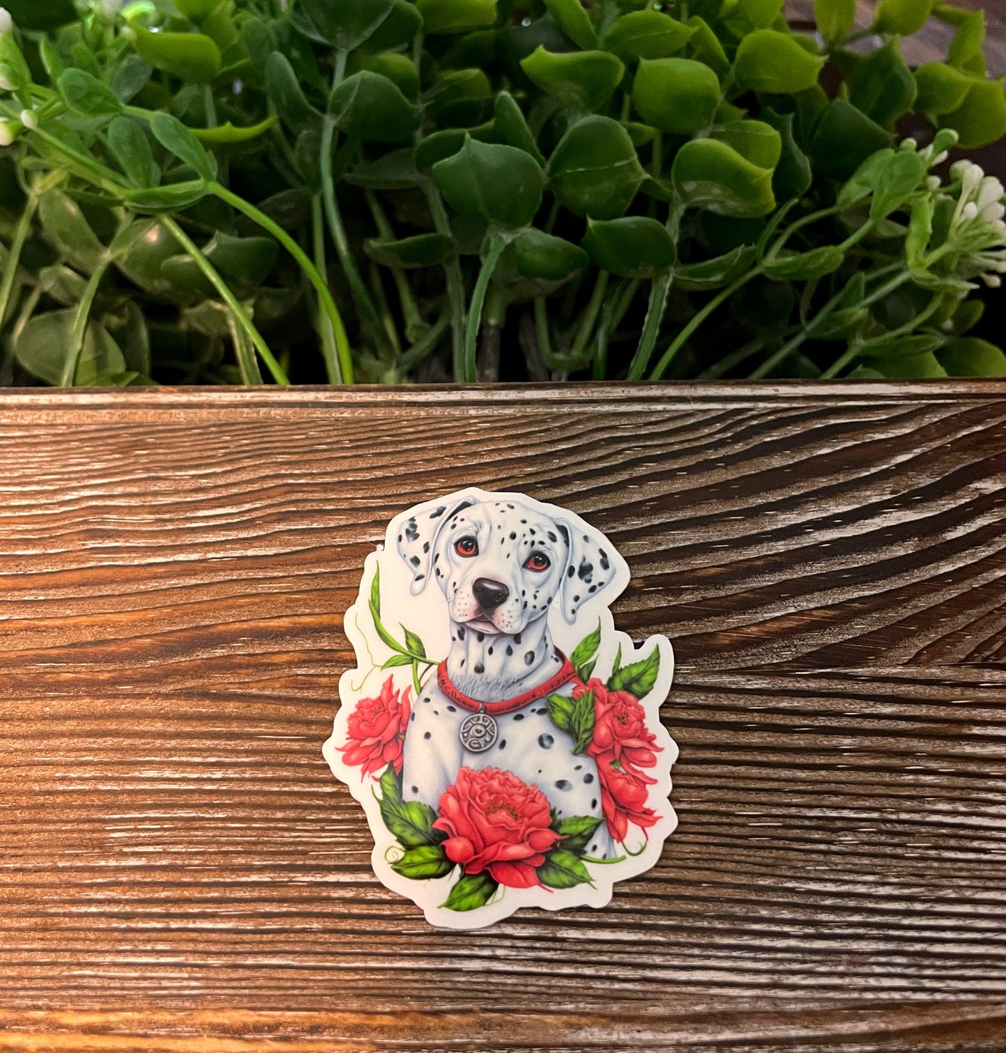 Dalmatian Sticker | Sticker or Magnet |Boho Fun |Refrigerator Fridge Car |Dog Mom Animal Lover |Pet Breed |Sticker or Magnet