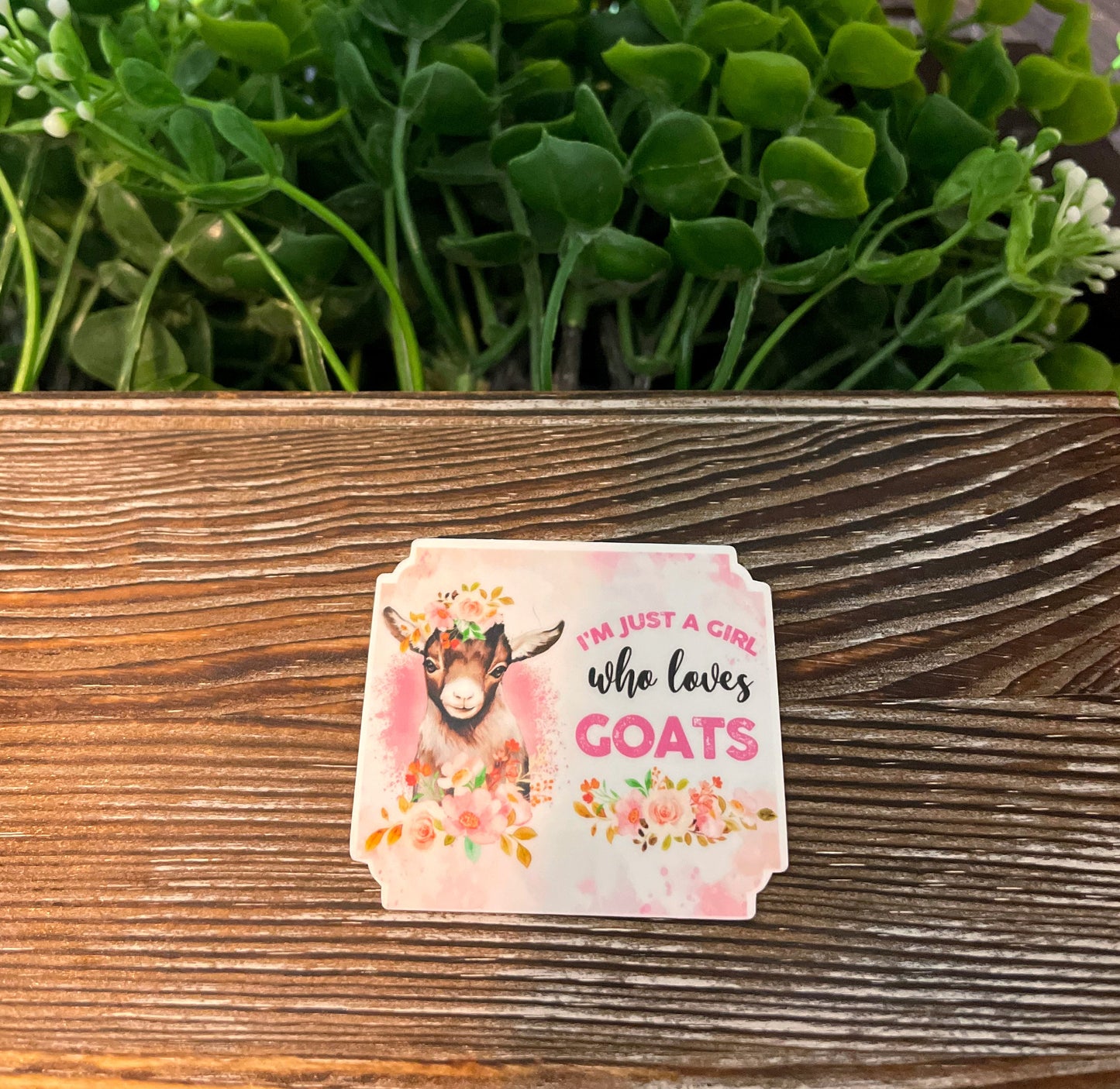 I'm Just A Girl Who Loves Goats |Lightweight Vinyl Sticker or Magnet |Refrigerator Fridge Car |Farm Life |Love Animals |Barn Yard Mini |Sticker or Magnet