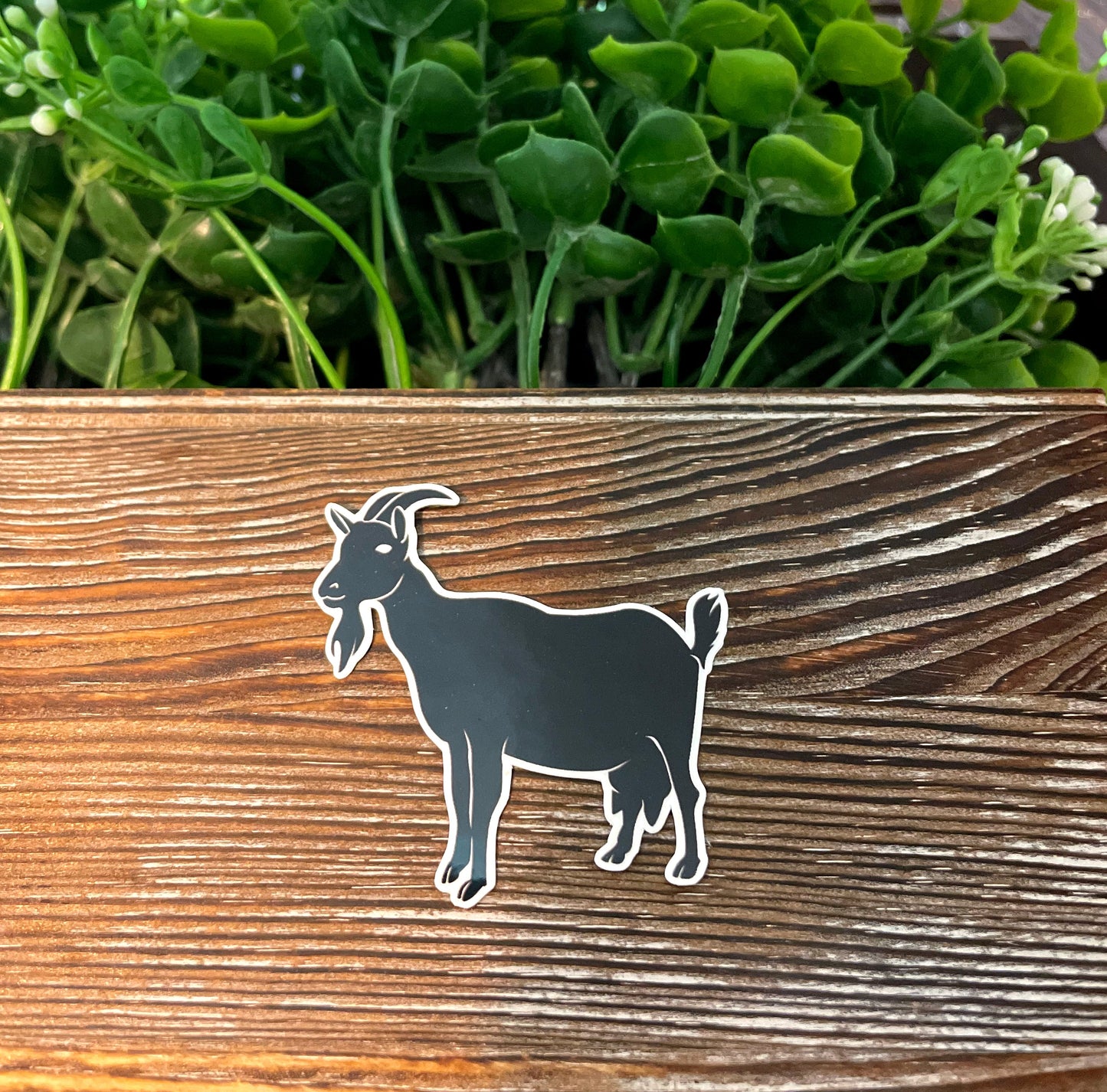 Black Dairy Goat w/ Udder Silhouette |Lightweight Vinyl Sticker or Magnet |Refrigerator Fridge Car |Farm Life |Love Animals |Barn Yard Mini |Sticker or Magnet