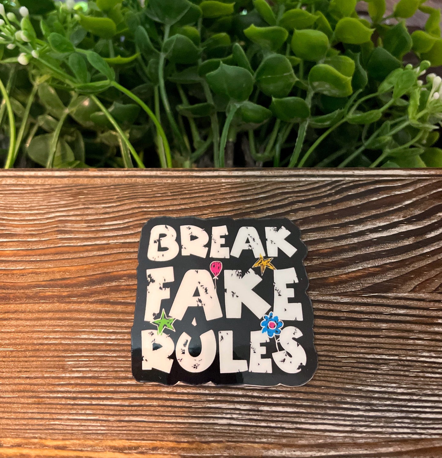Break Fake Rules |Lightweight Vinyl Sticker or Magnet |Refrigerator Fridge Car |Empowerment |Inspire Motivate |Self Esteem |Self Love |Sticker or Magnet