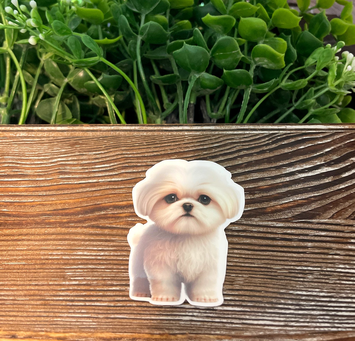 Maltese Puppy, Die Cut Vinyl Sticker, Boho Fun, Water Resistant, Dog Mom Animal Lover, Pet Breed |Sticker or Magnet