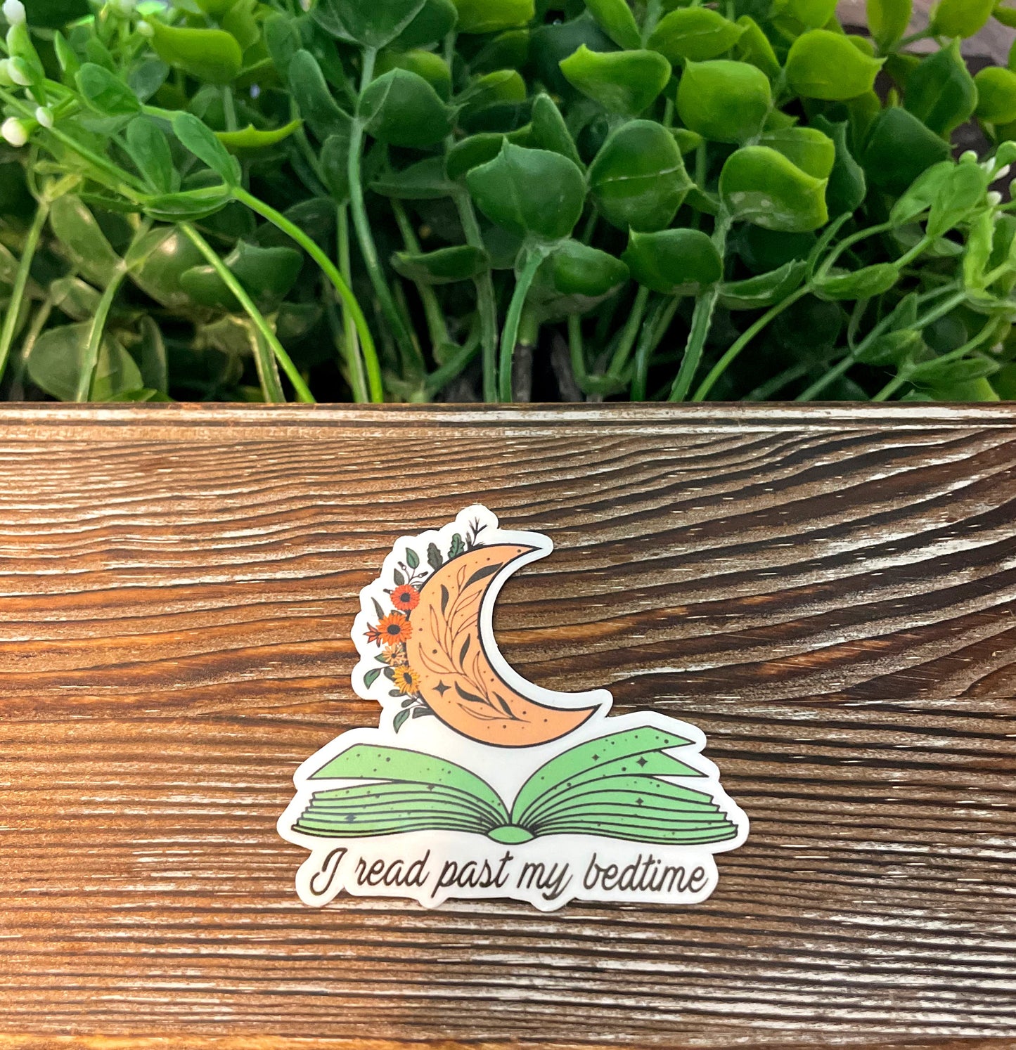 I Read Past My Bedtime |Vinyl Sticker or Magnet |Refrigerator Fridge Car |Learn Knowledge |Love to Read Books |Home Library |E-Reader |Sticker or Magnet